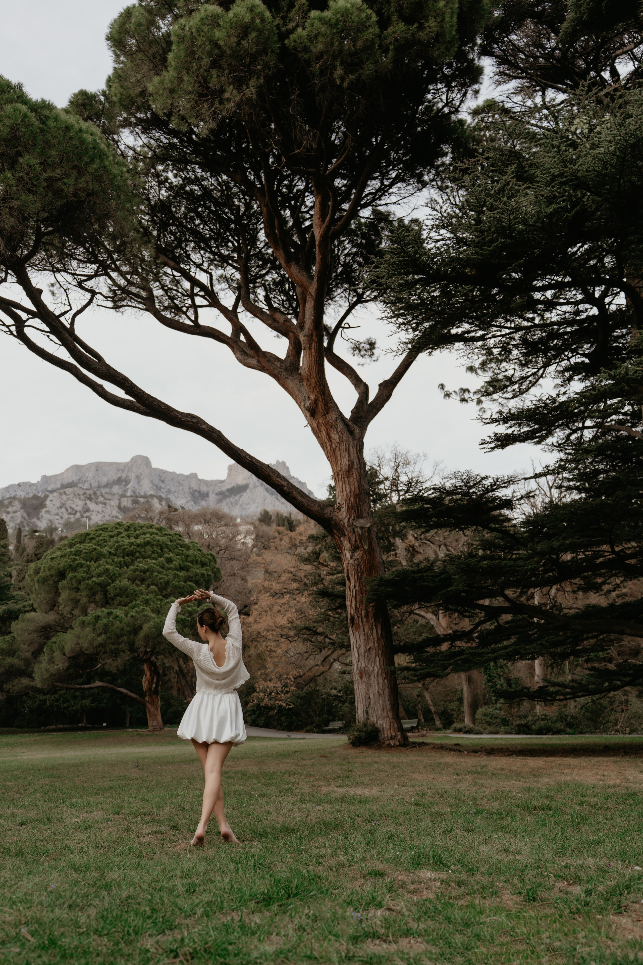 Под кроной вечности. Фотограф и Видеограф Севастополь Крым