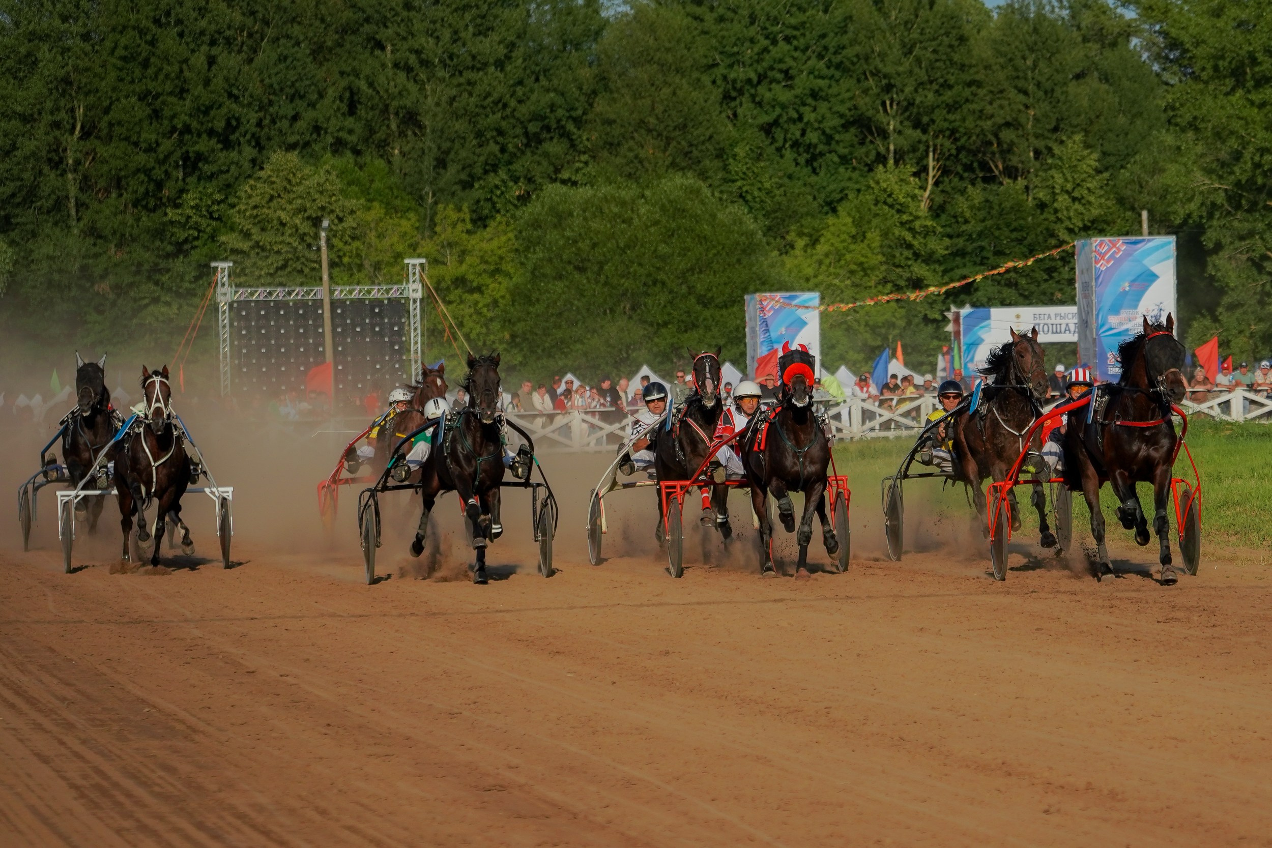 III конные бега на Кубок Главы Чувашии. Фотограф-анималист, портретный фотограф в Чебоксарах Мария Садыкова