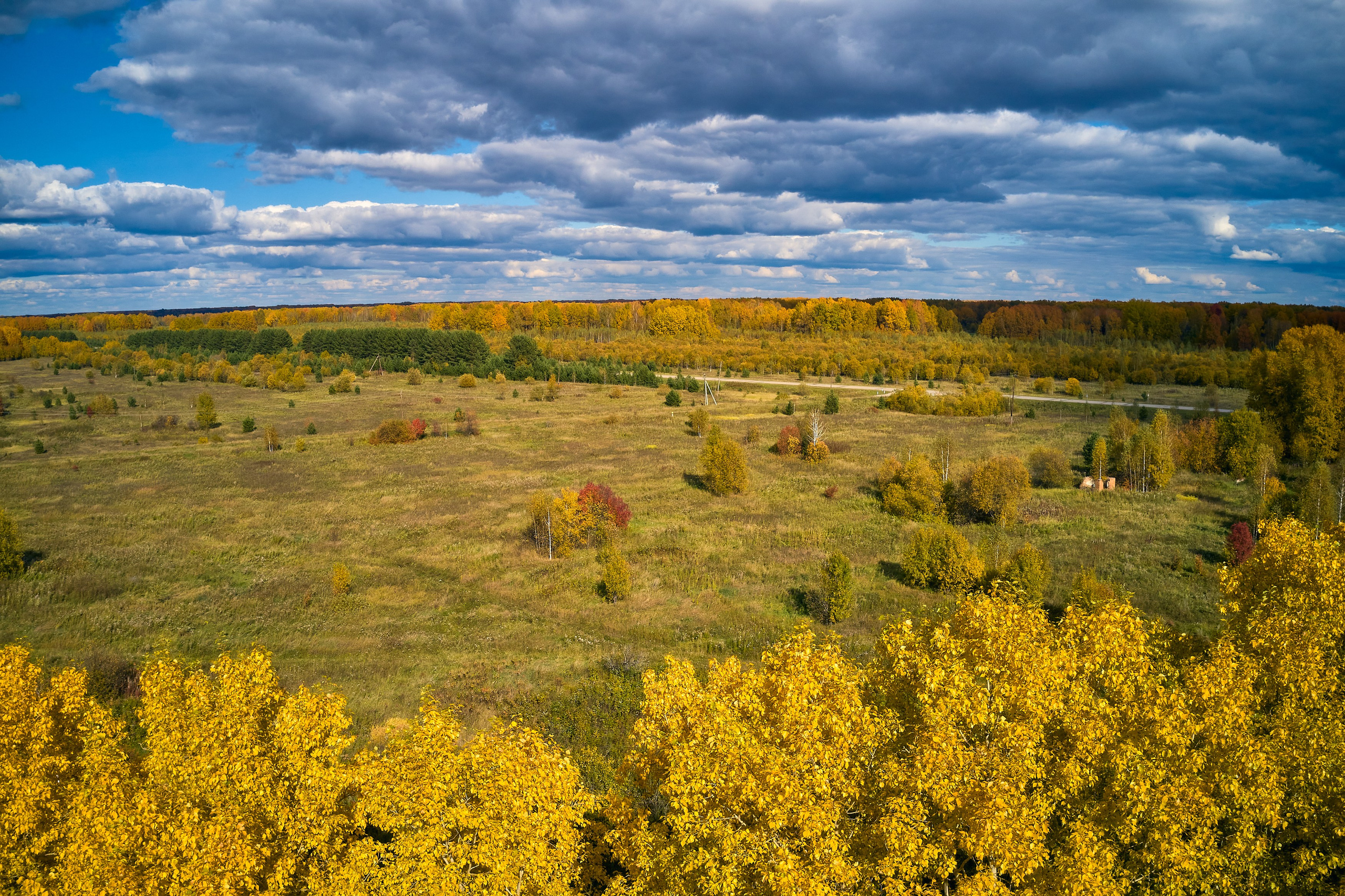 Съемка в полете. DMITRY MOISEENKO — фотограф, художник, топ-стилист