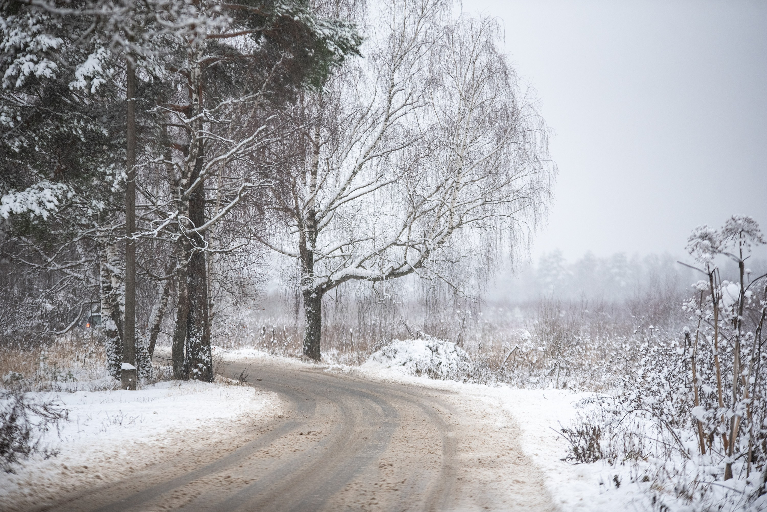 Природа. Съемки в стиле Goblicore и прочая нечисть. Конный фотограф из Москвы Ирина Бондаркова