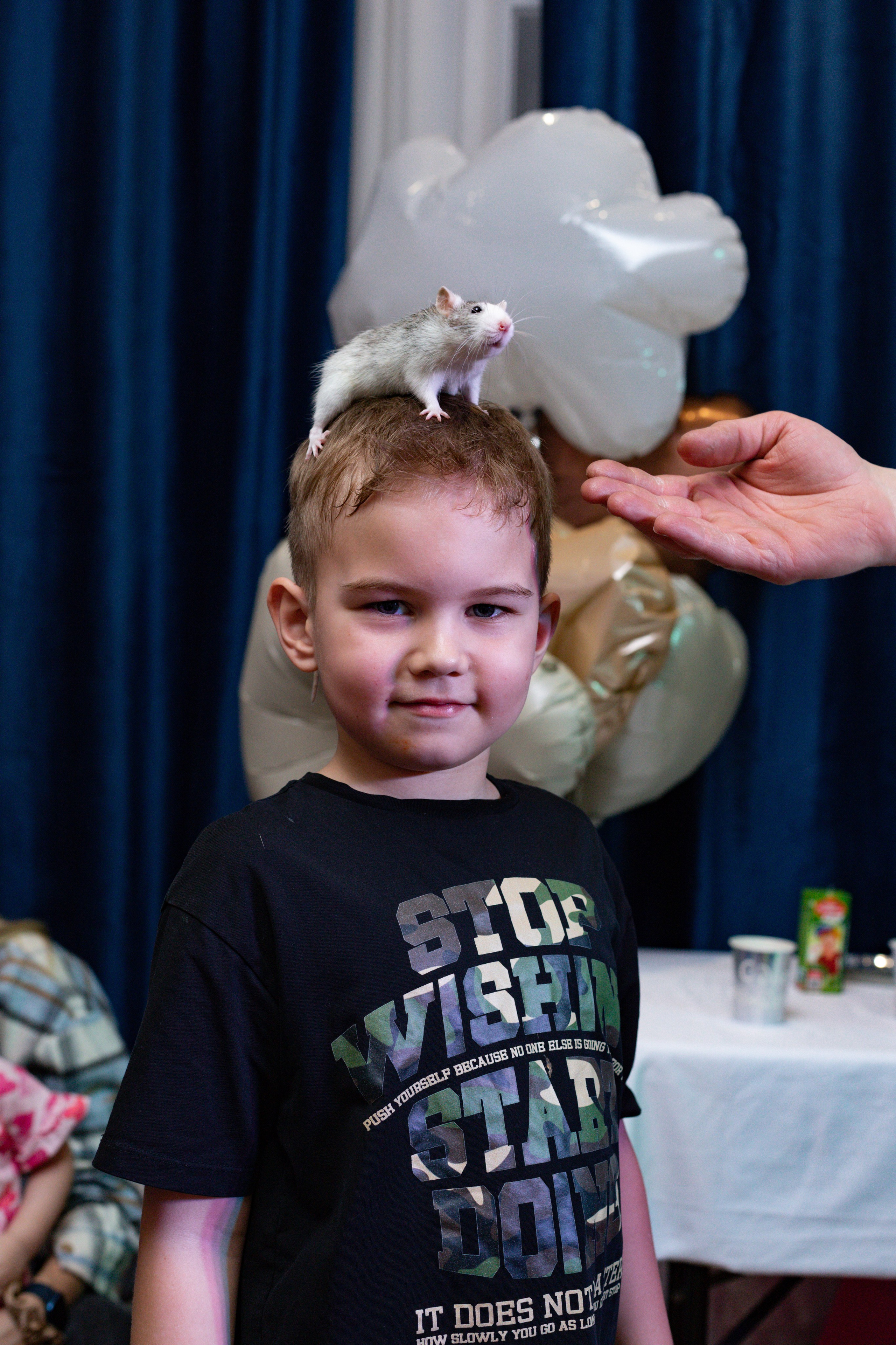 ZAHAR 5 YEAR / BIRTHDAY. Photokarish