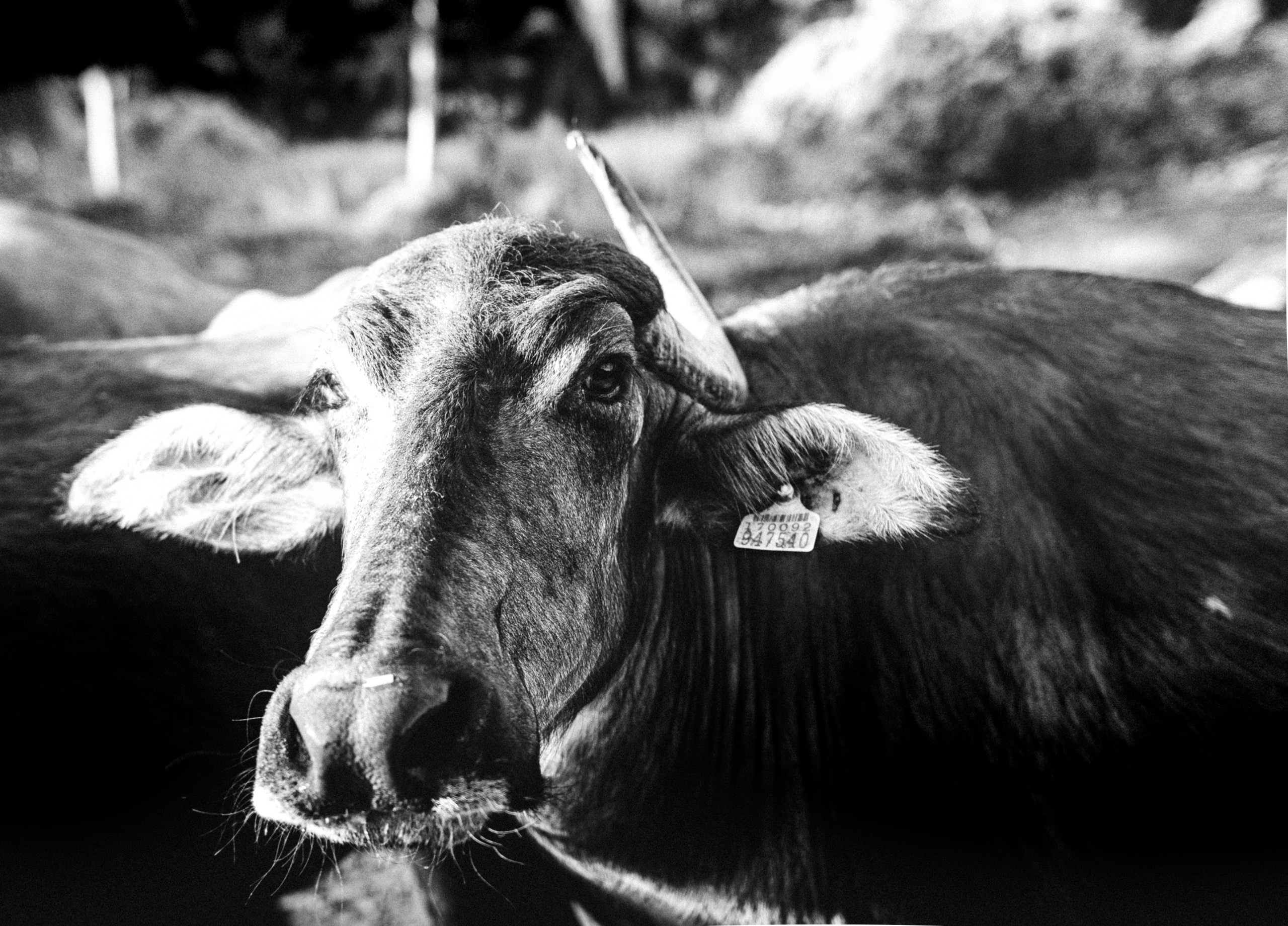 Уличная фотография. Коммерческий, рекламный фотограф в Уфе Сергей Крайкин