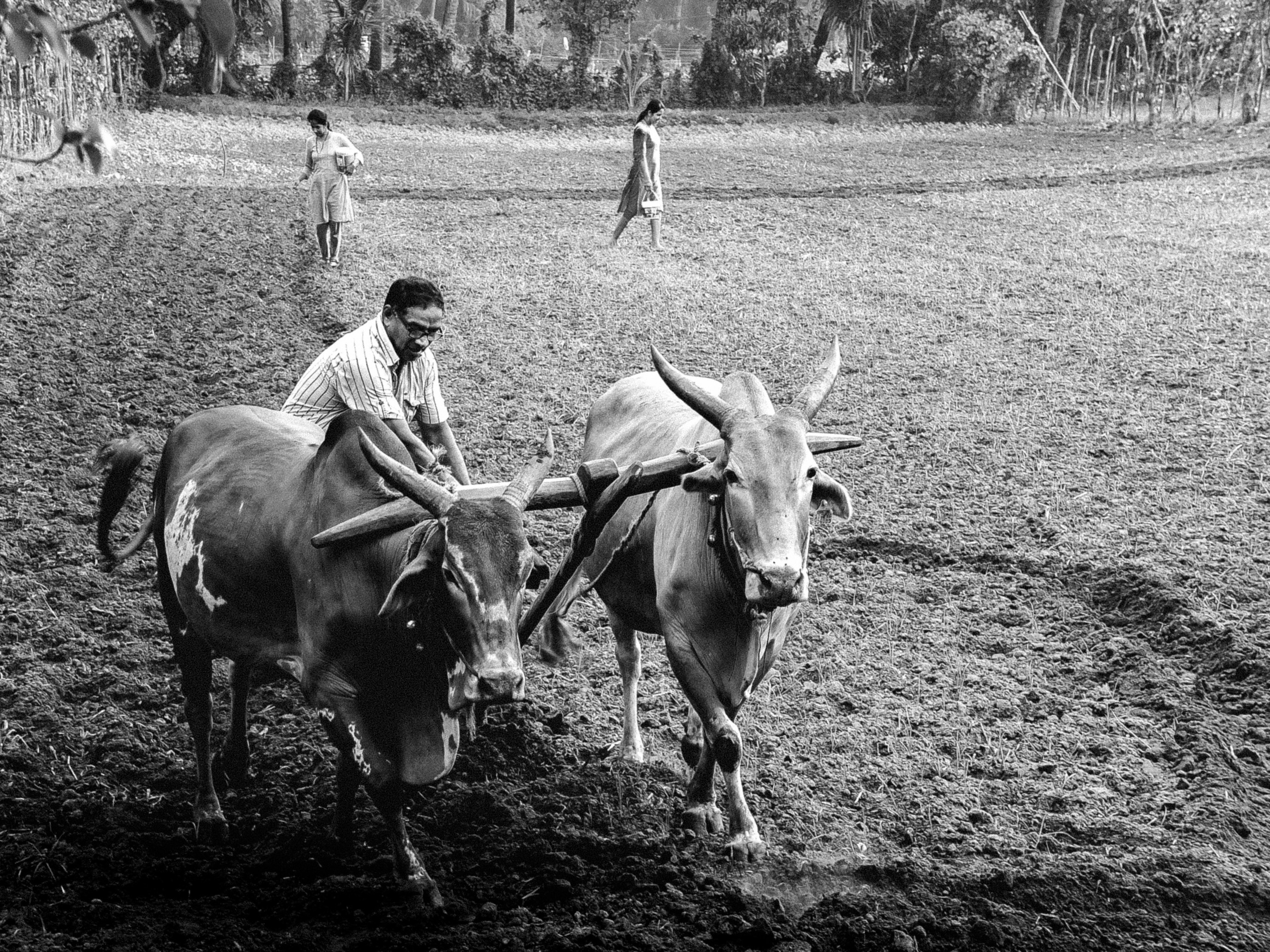 Уличная фотография. Коммерческий, рекламный фотограф в Уфе Сергей Крайкин
