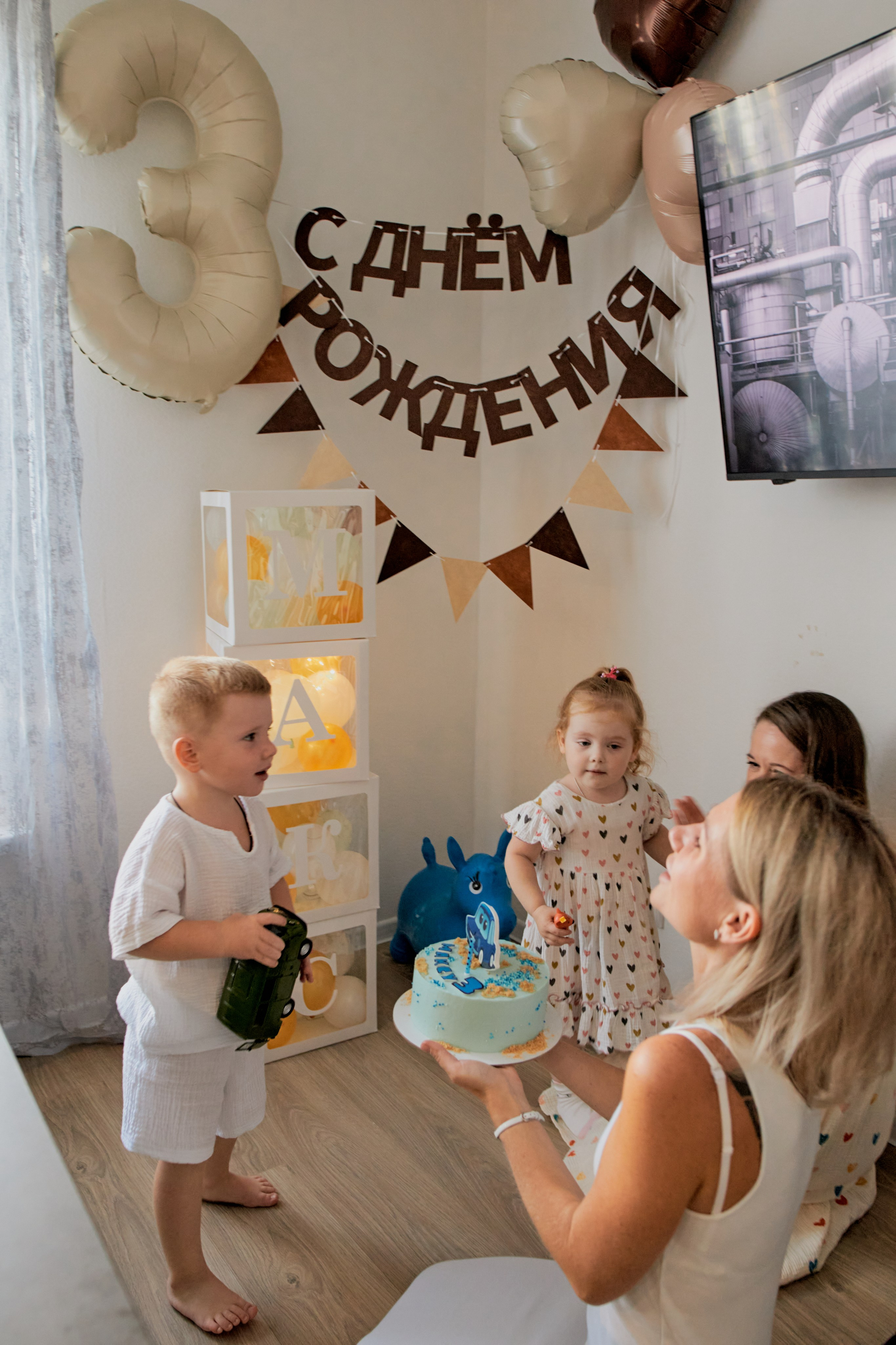 Три кота. Фотограф Москва