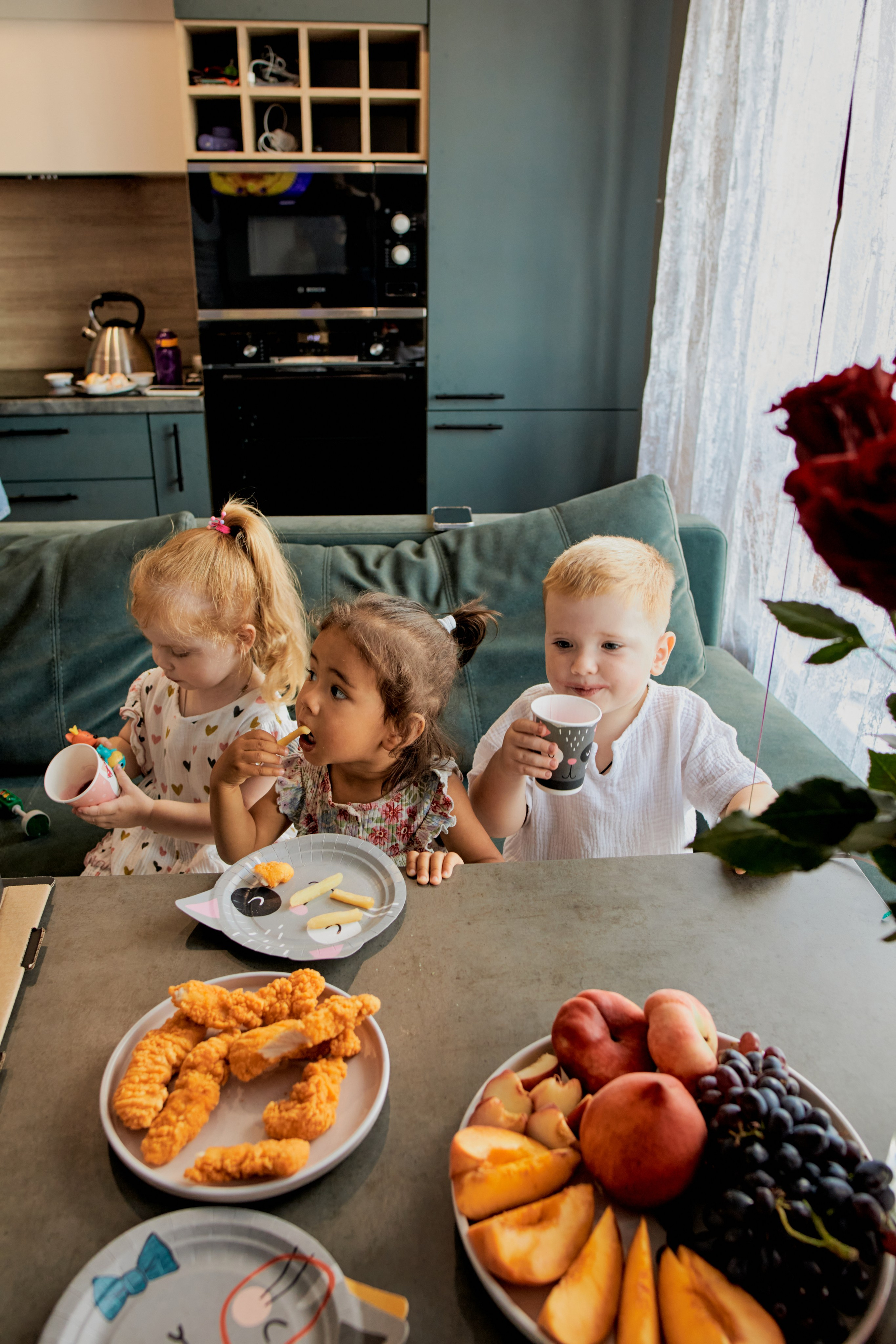 Три кота. Фотограф Москва