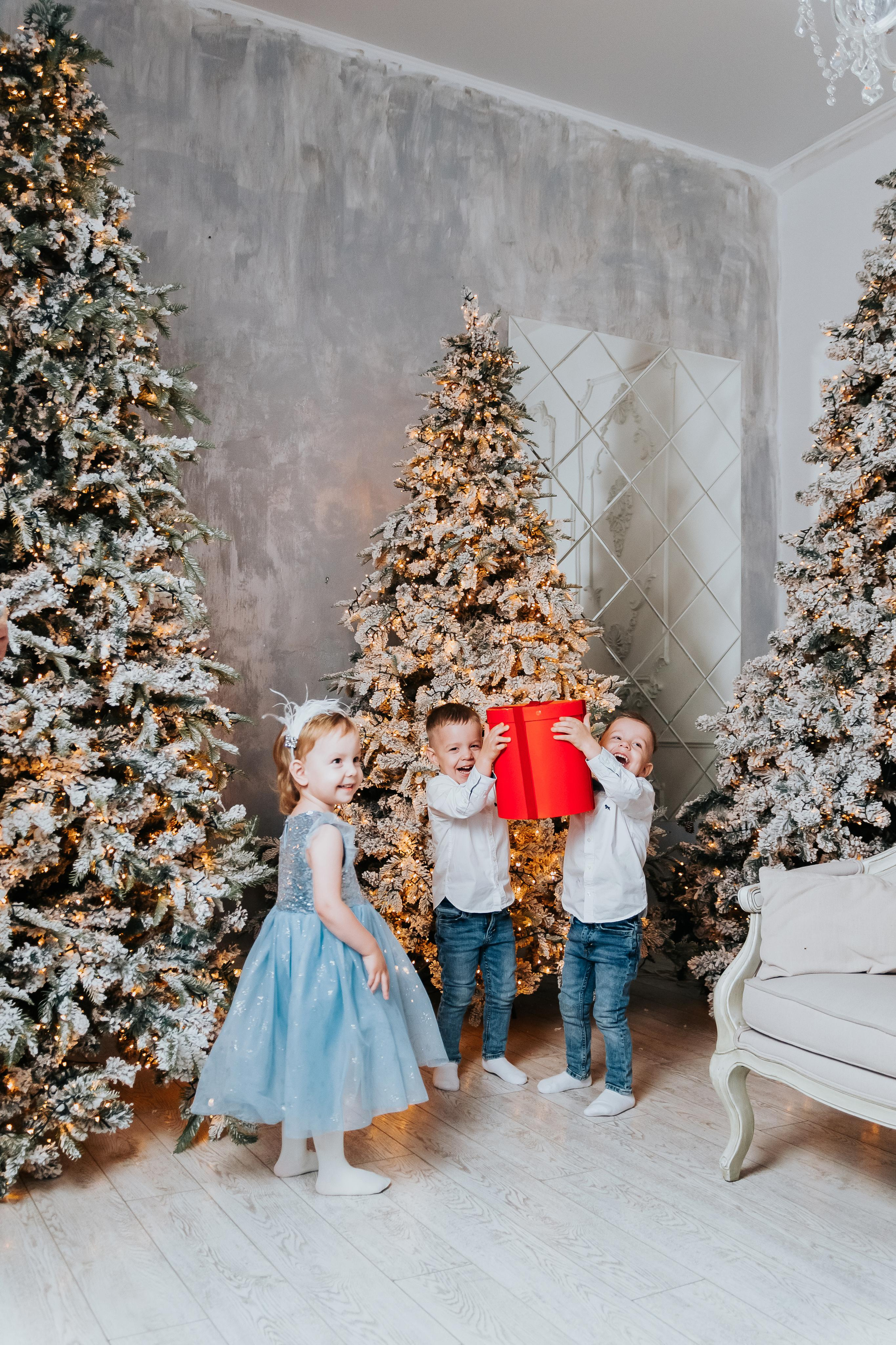 Семенная новогодняя фотосессия Кемерово