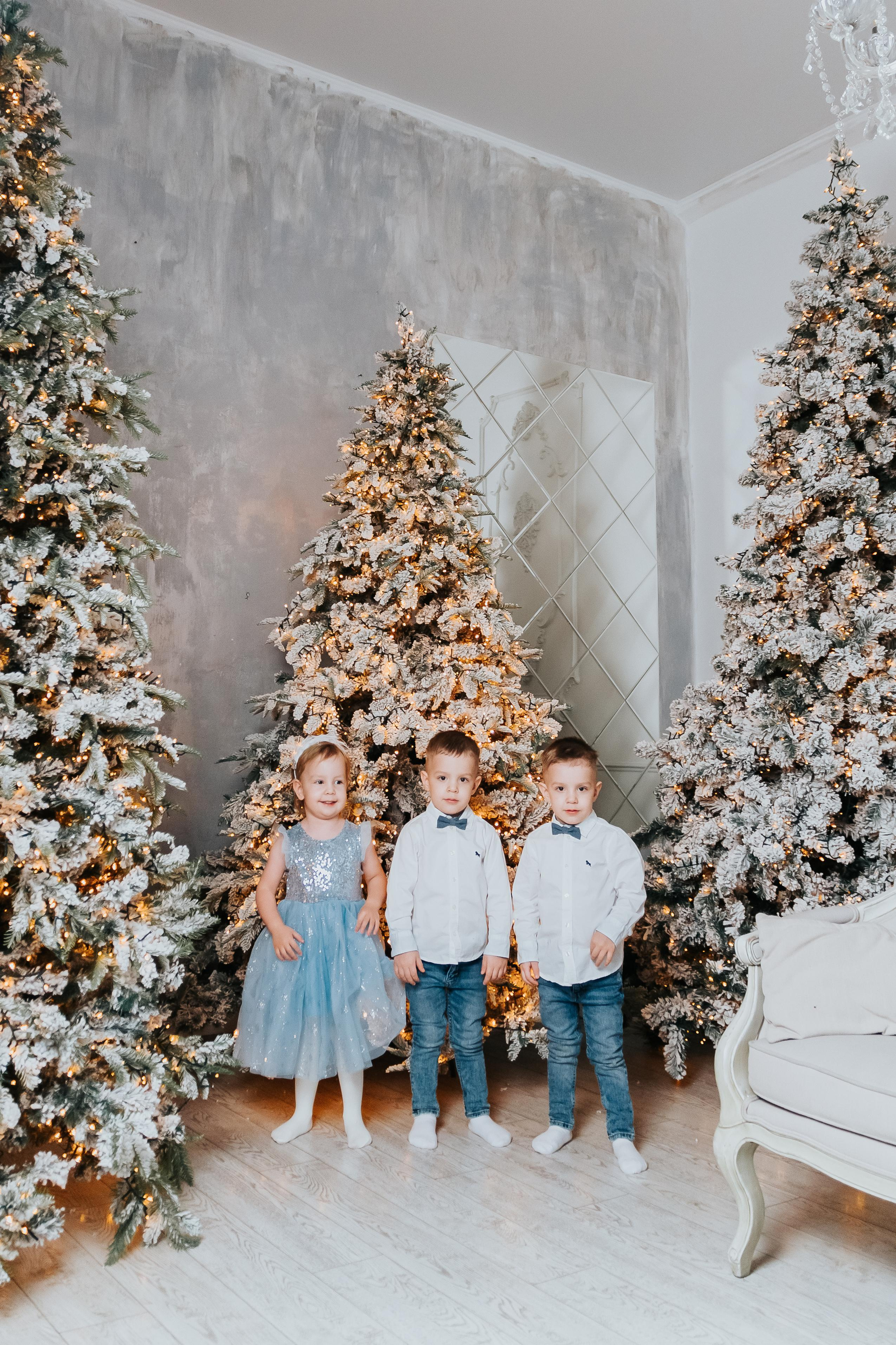 Семенная новогодняя фотосессия Кемерово