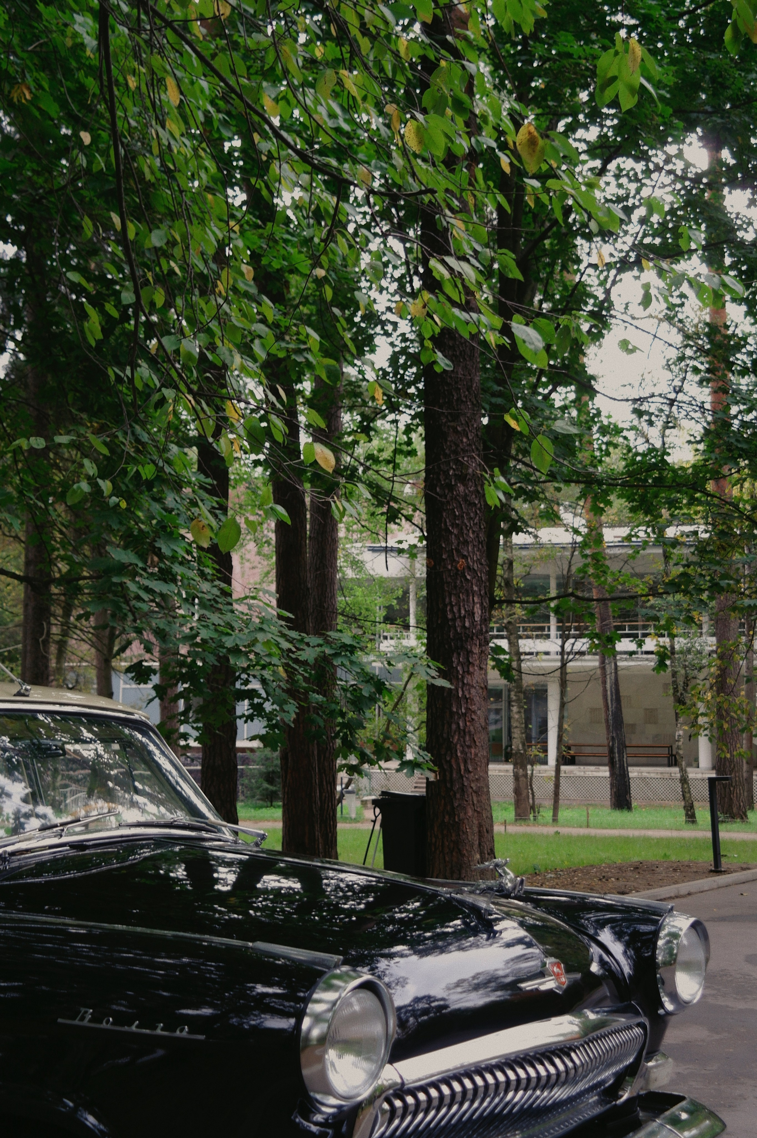 Переделкино. Татьян гертье