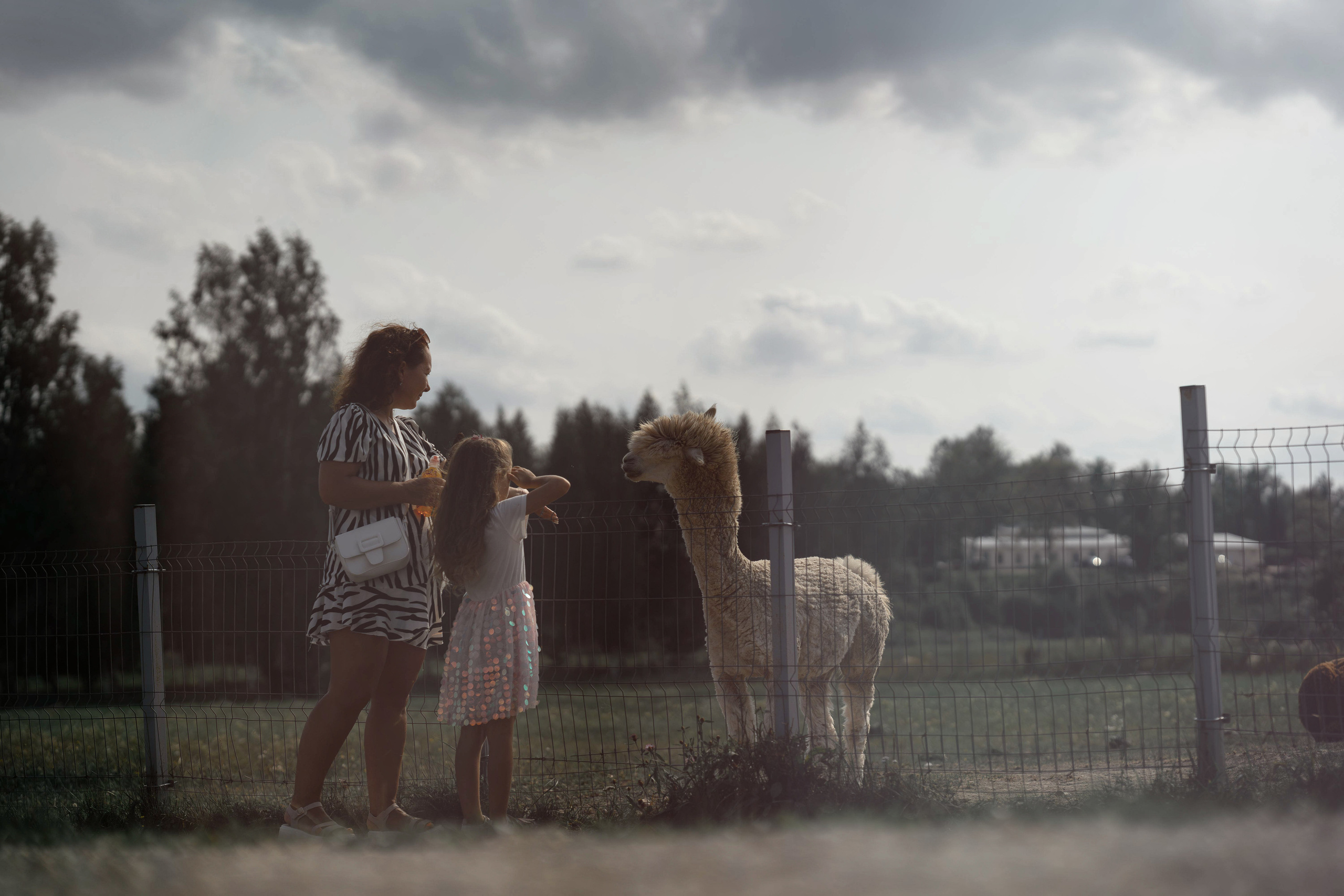 Семейная фотосессия в парке летом. Семейный фотограф Шитиков Роман. Роман Шитиков —свадебный, семейный фотограф в Санкт-Петербурге