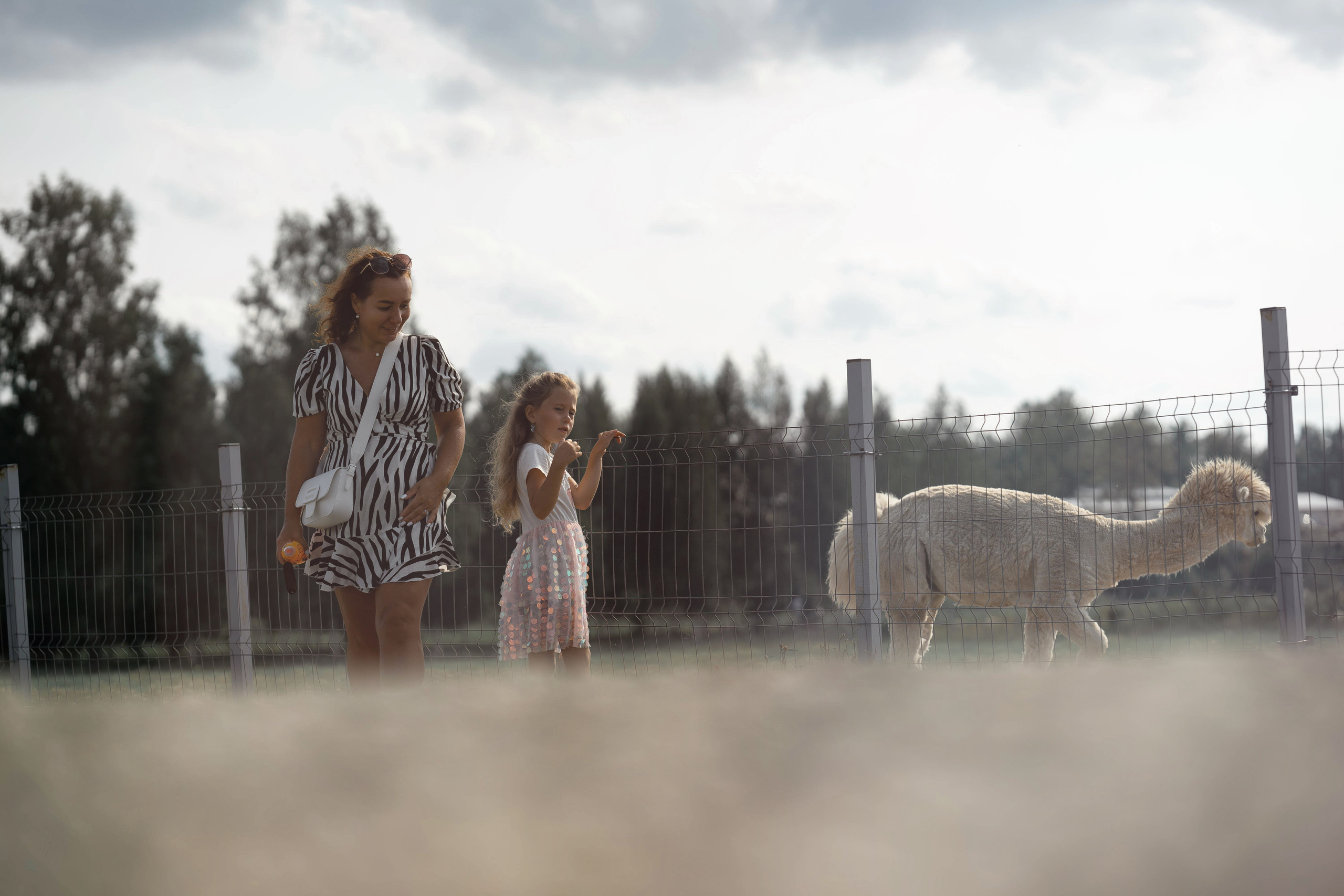 Семейная фотосессия в парке летом. Семейный фотограф Шитиков Роман. Роман Шитиков —свадебный, семейный фотограф в Санкт-Петербурге
