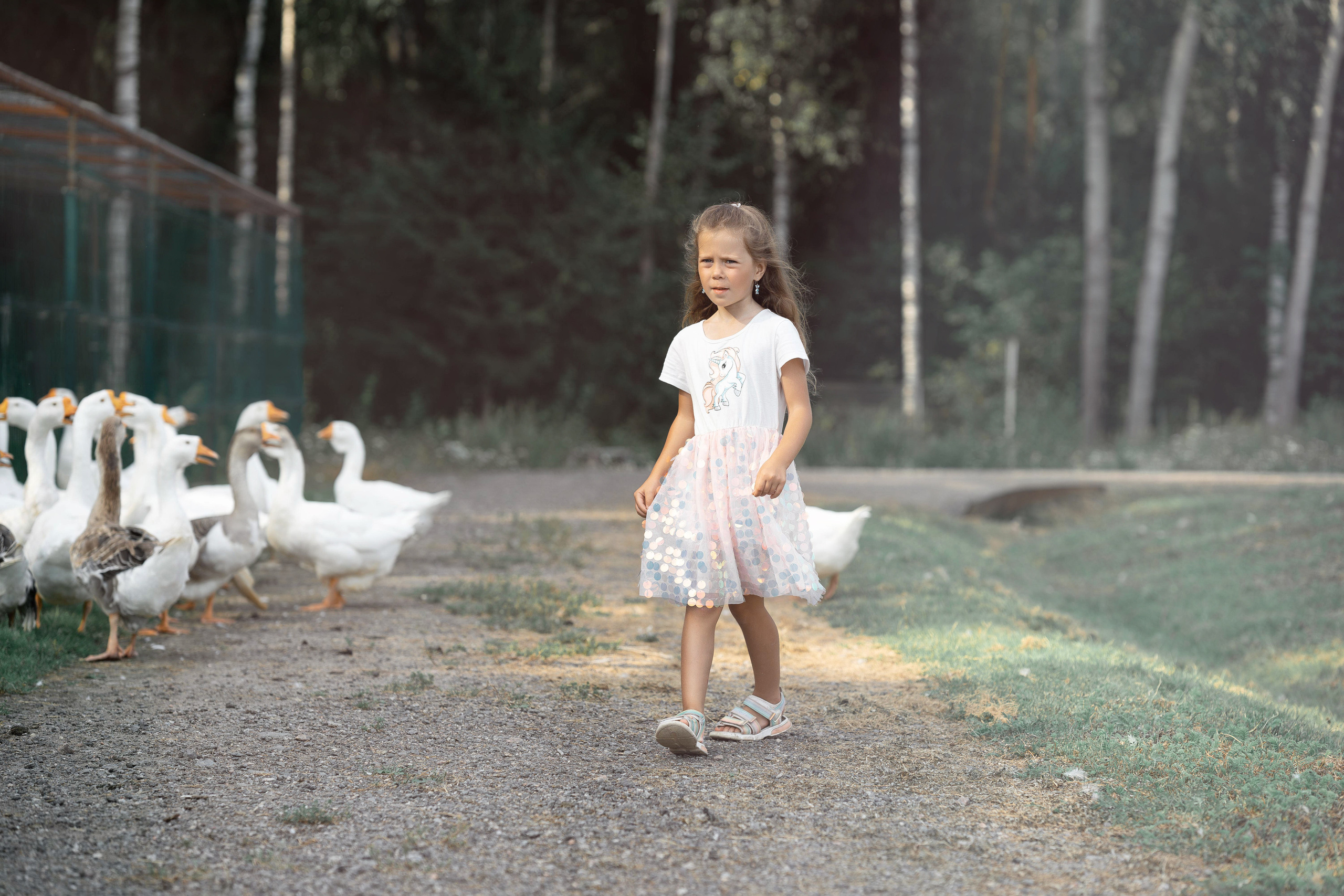 Семейная фотосессия в парке летом. Семейный фотограф Шитиков Роман. Роман Шитиков —свадебный, семейный фотограф в Санкт-Петербурге