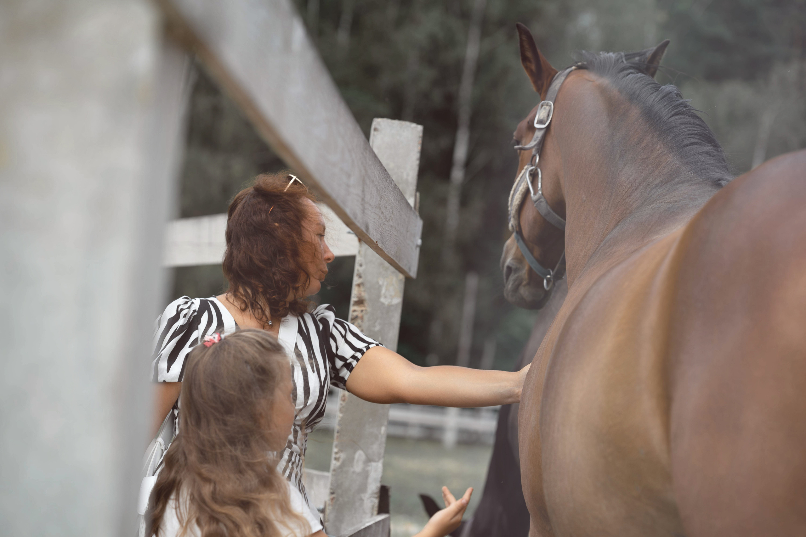 Семейная фотосессия в парке летом. Семейный фотограф Шитиков Роман. Роман Шитиков —свадебный, семейный фотограф в Санкт-Петербурге