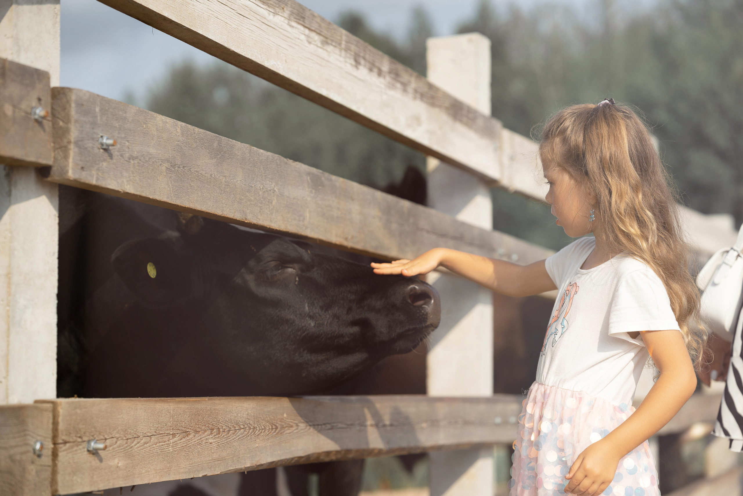 Семейная фотосессия в парке летом. Семейный фотограф Шитиков Роман. Роман Шитиков —свадебный, семейный фотограф в Санкт-Петербурге