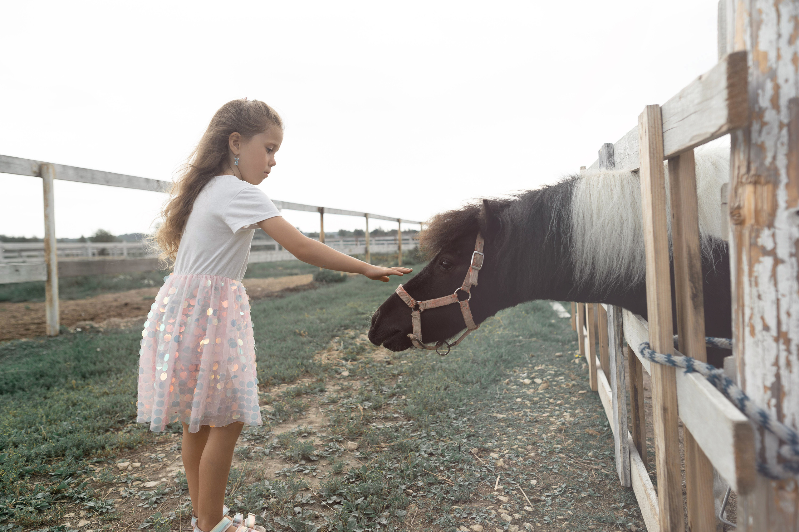 Семейная фотосессия в парке летом. Семейный фотограф Шитиков Роман. Роман Шитиков —свадебный, семейный фотограф в Санкт-Петербурге