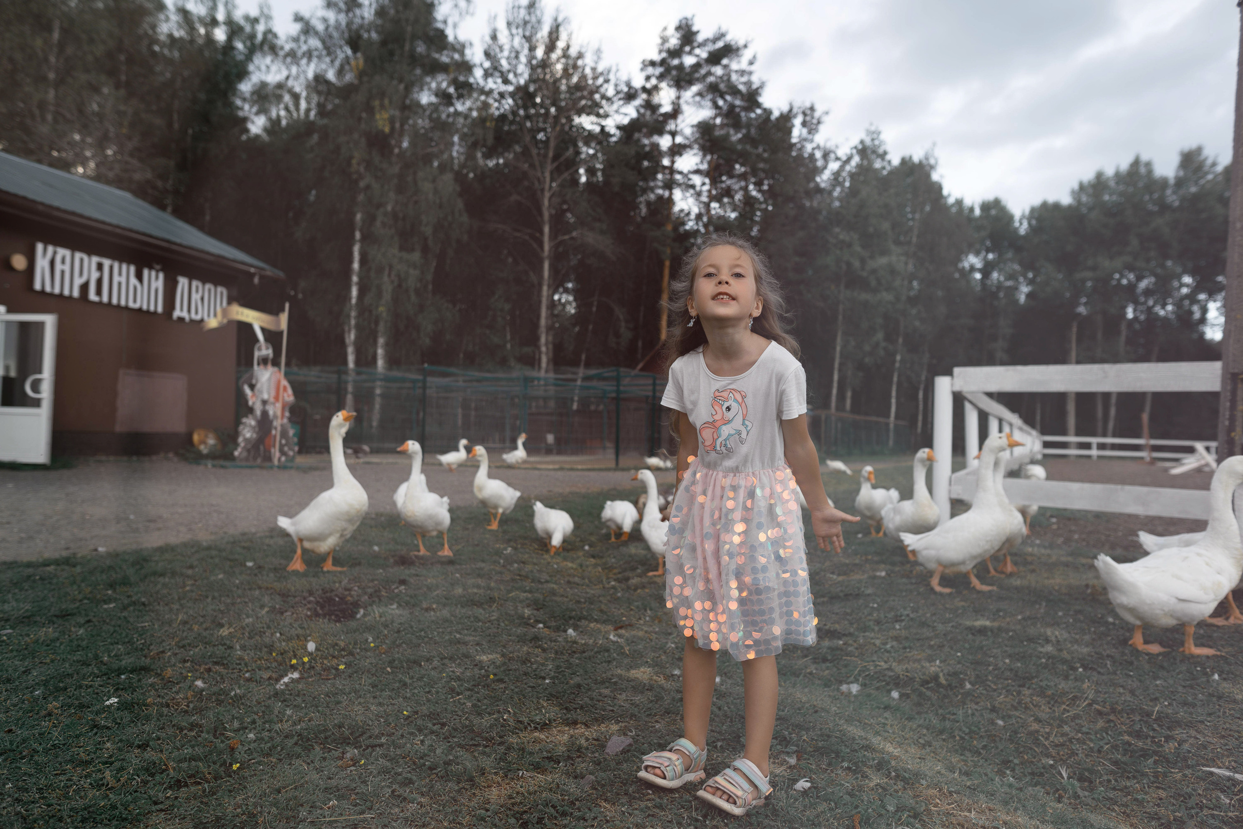 Семейная фотосессия в парке летом. Семейный фотограф Шитиков Роман. Роман Шитиков —свадебный, семейный фотограф в Санкт-Петербурге