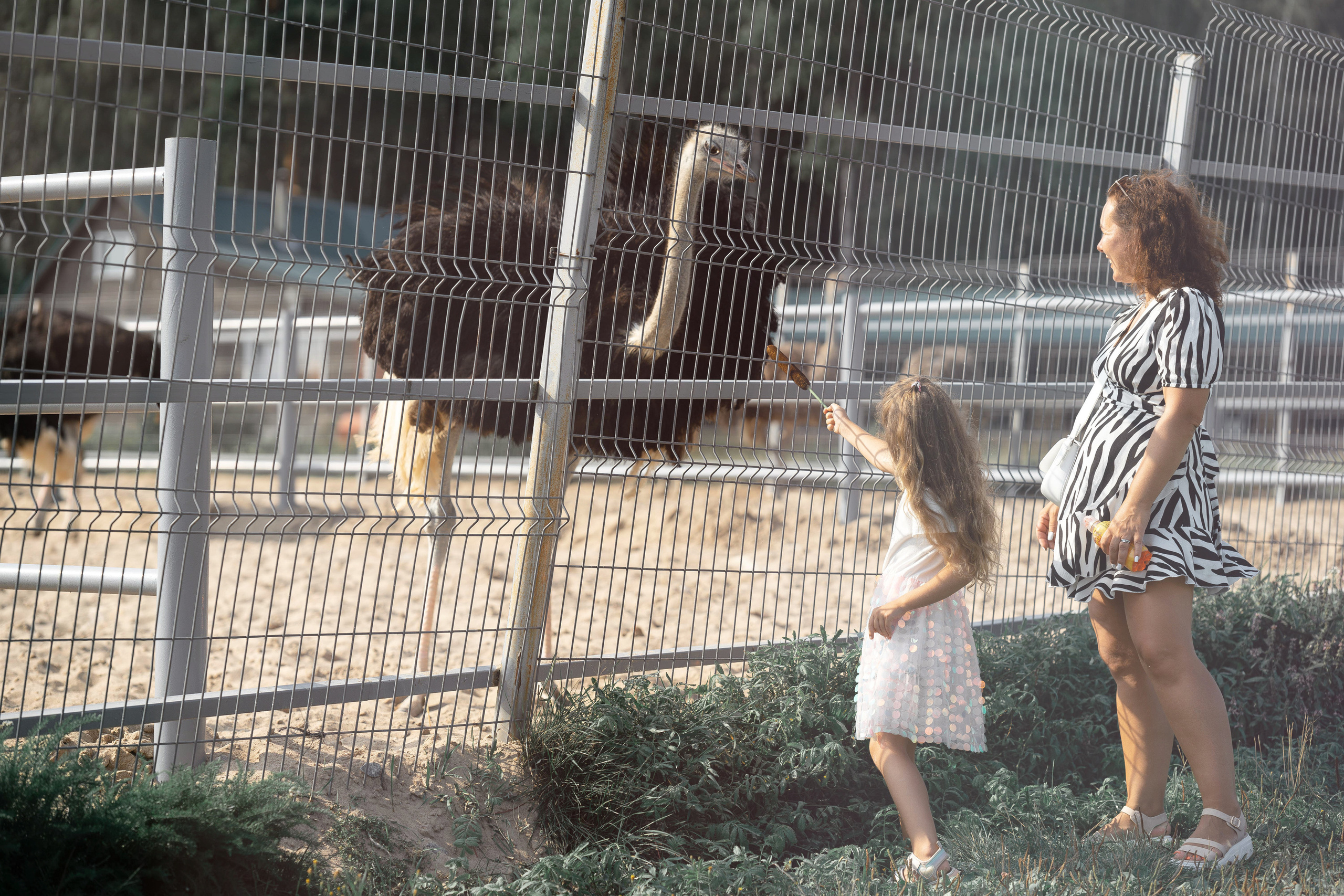 Семейная фотосессия в парке летом. Семейный фотограф Шитиков Роман. Роман Шитиков —свадебный, семейный фотограф в Санкт-Петербурге