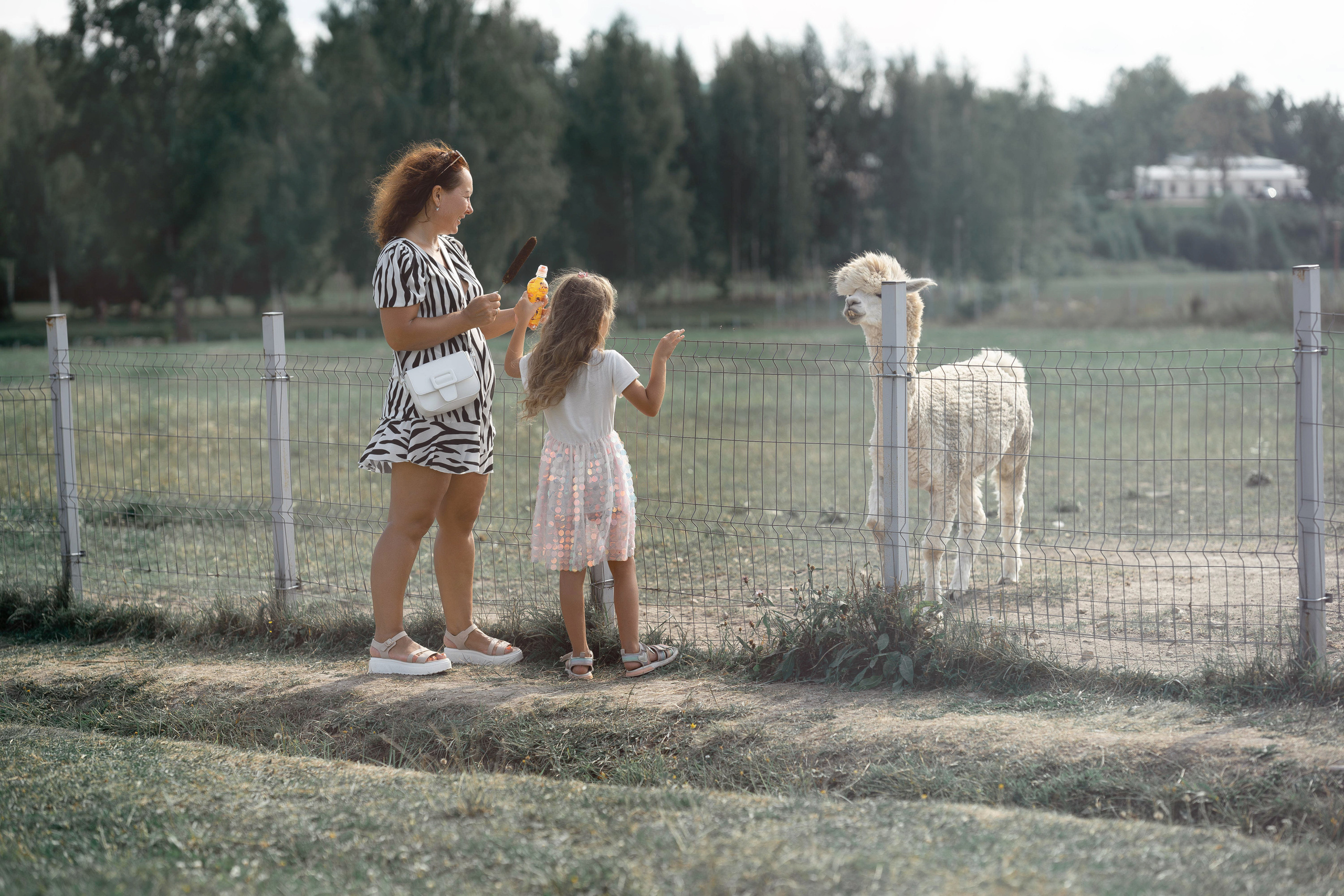 Семейная фотосессия в парке летом. Семейный фотограф Шитиков Роман. Роман Шитиков —свадебный, семейный фотограф в Санкт-Петербурге