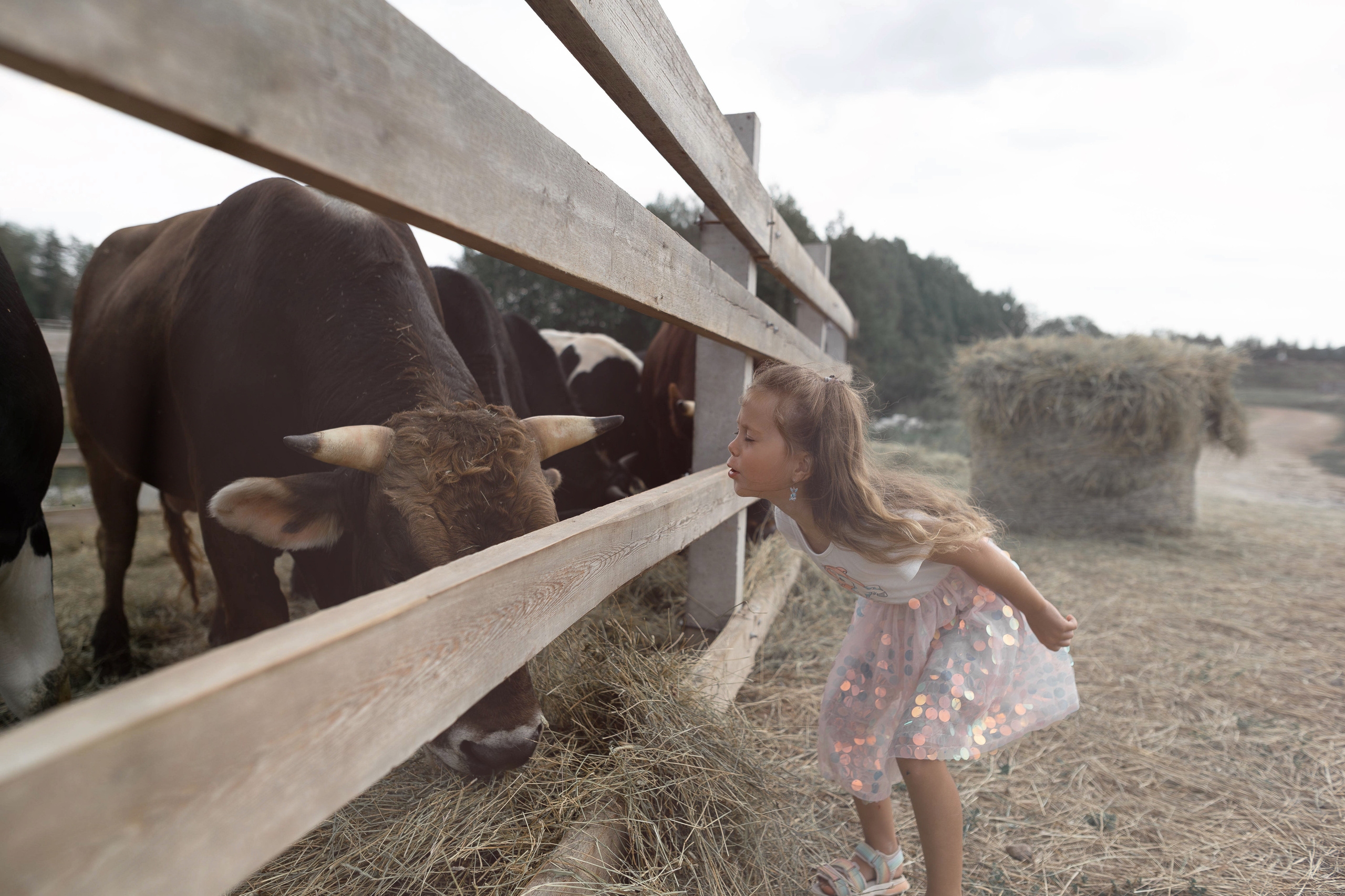 Роман Шитиков —свадебный, семейный фотограф в Санкт-Петербурге
