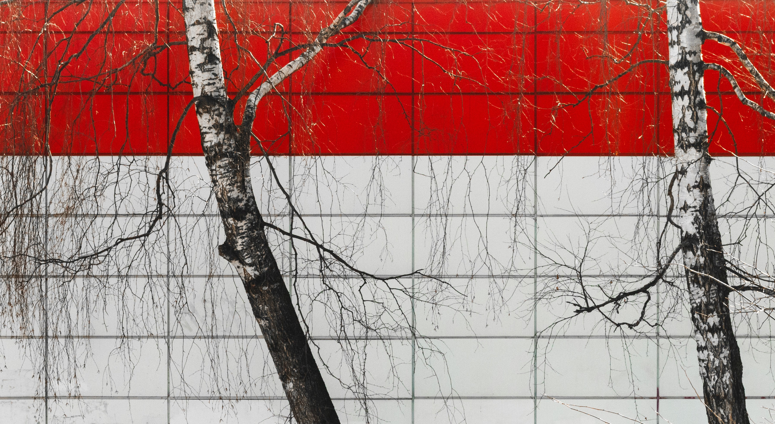 Родные узоры. Россия. Олег Романов. Мастер фото по спорту