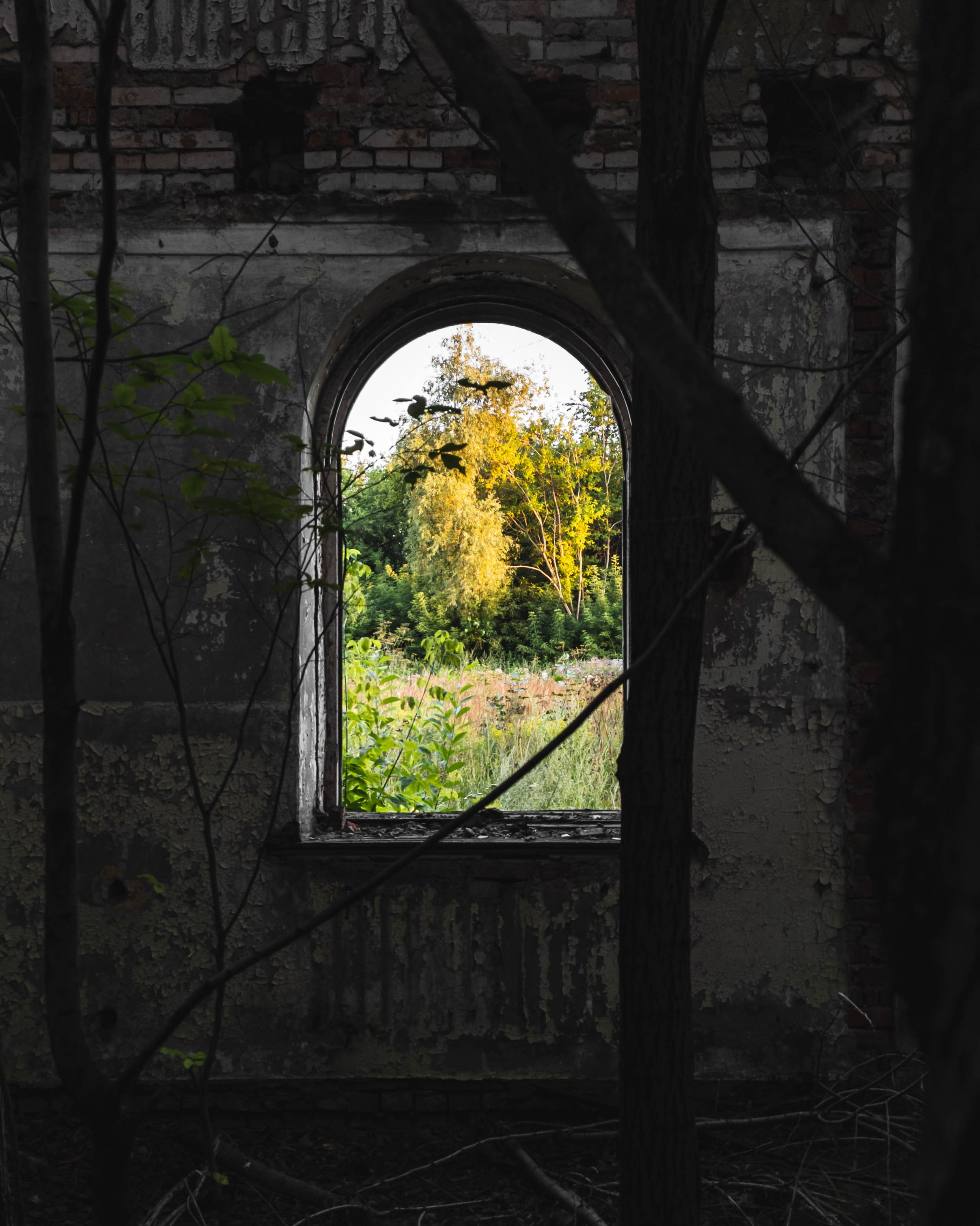 Эстетика ебеней. Олег Романов. Мастер фото по спорту