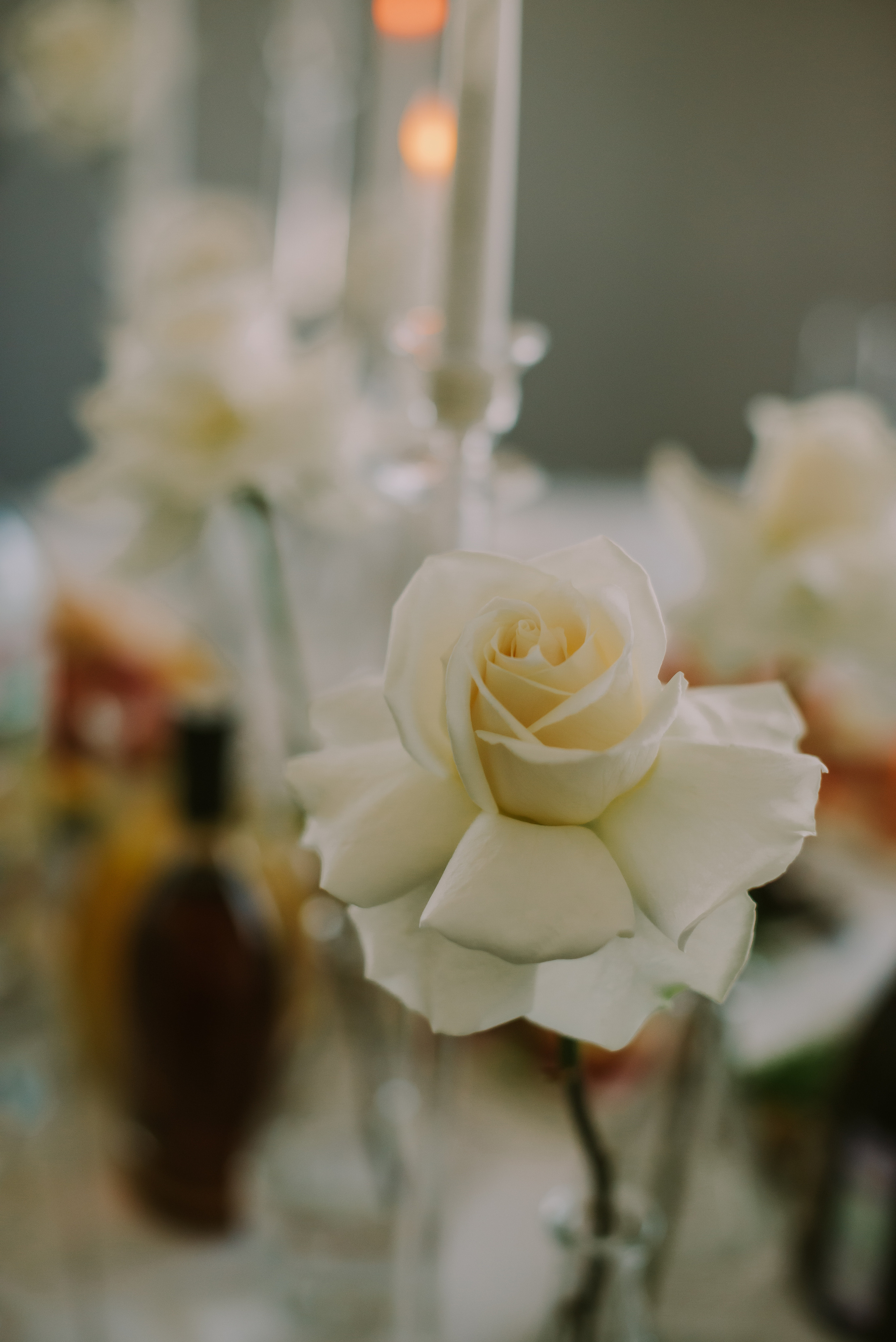 Виктория и Евгений (Белгород). Свадебный, женский, семейный фотограф в Севастополе Юлия Мошенко