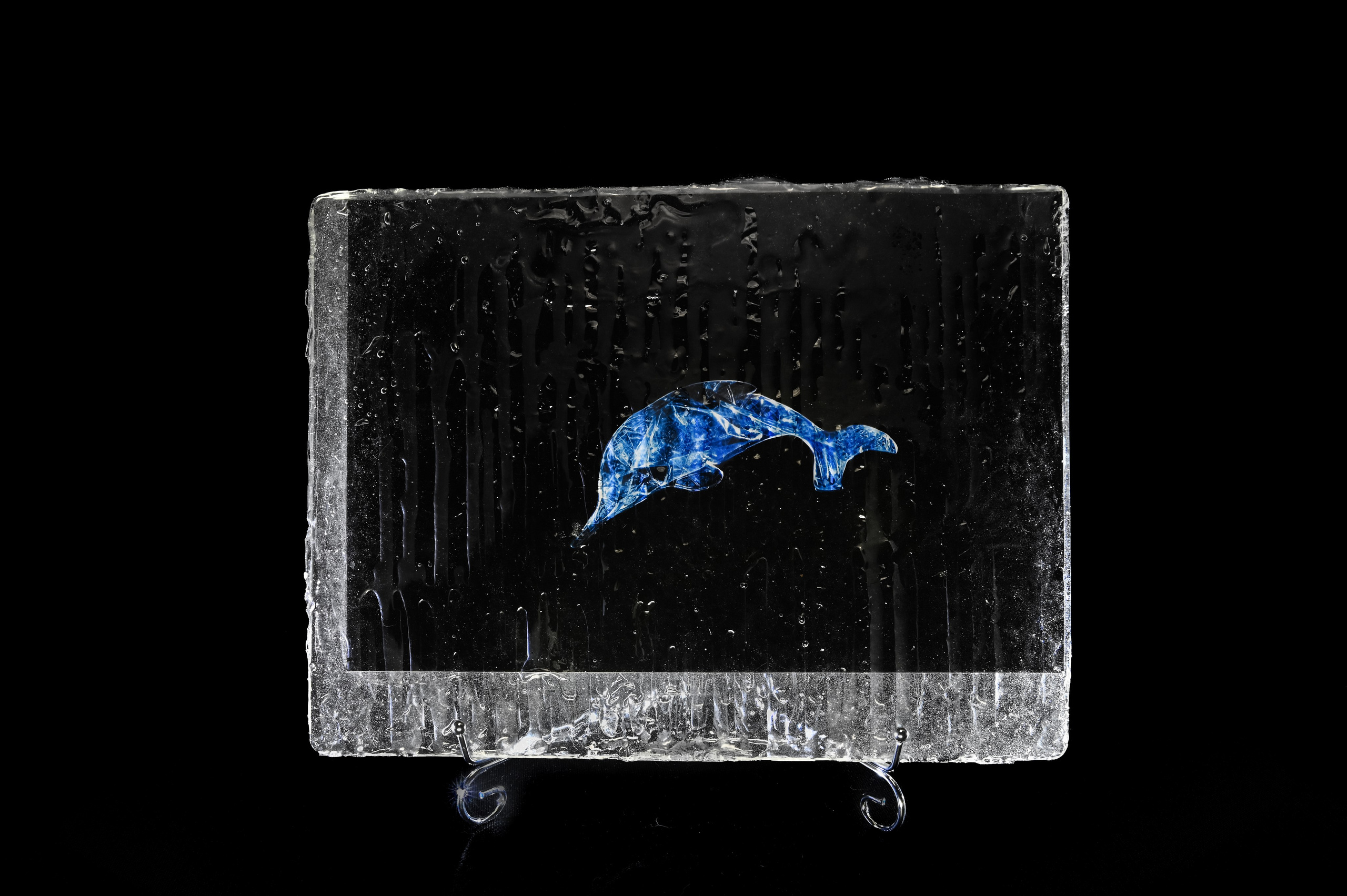 Китайский речной дельфин. 2024 год. Размер : 30 см на 40 см. LightJet бумага Pearl, ламинация хол.глянцевая, накатка Dibond, эпоксидная смола. Цена по запросу