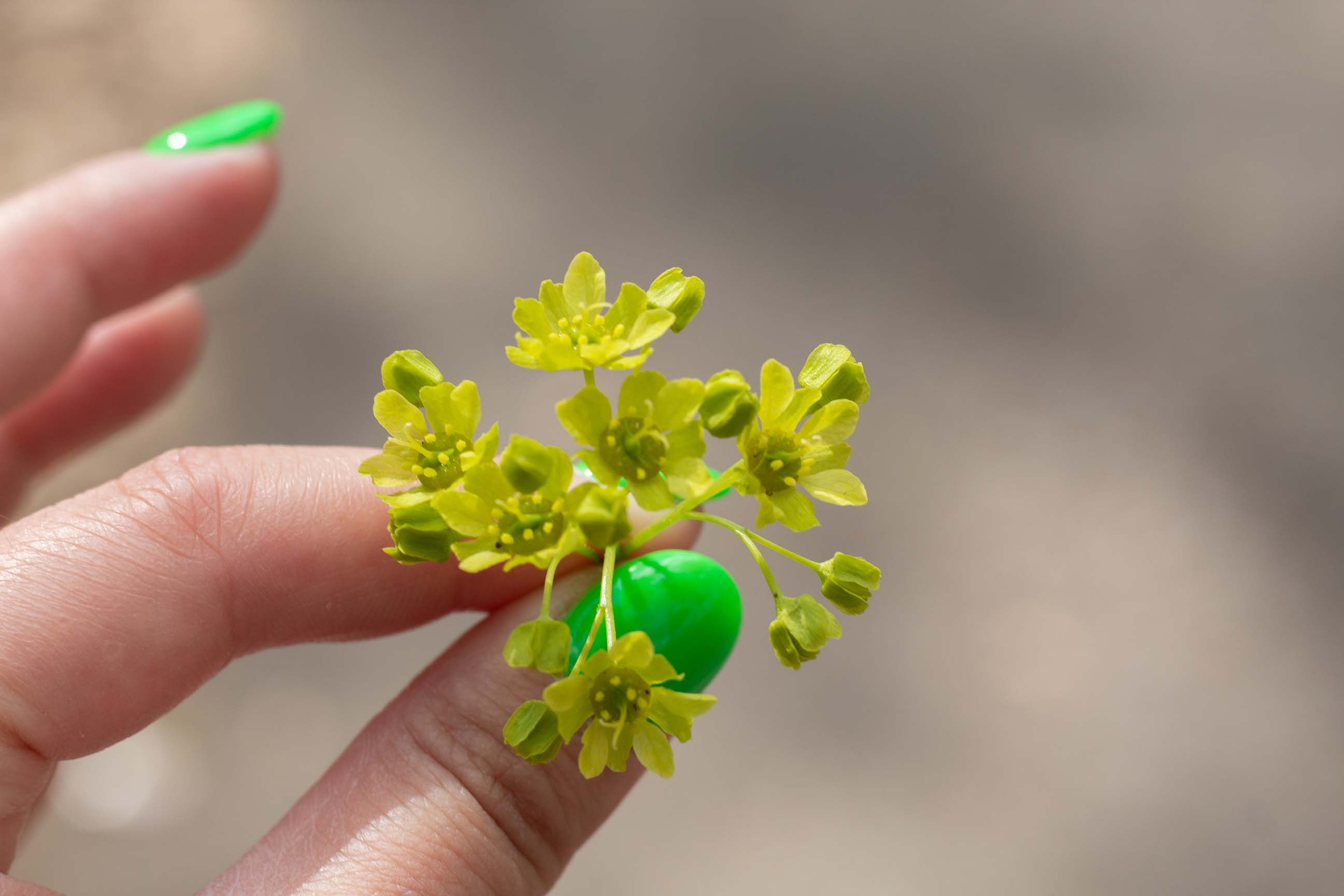 День рождение Мирона. Репортажный Фотограф