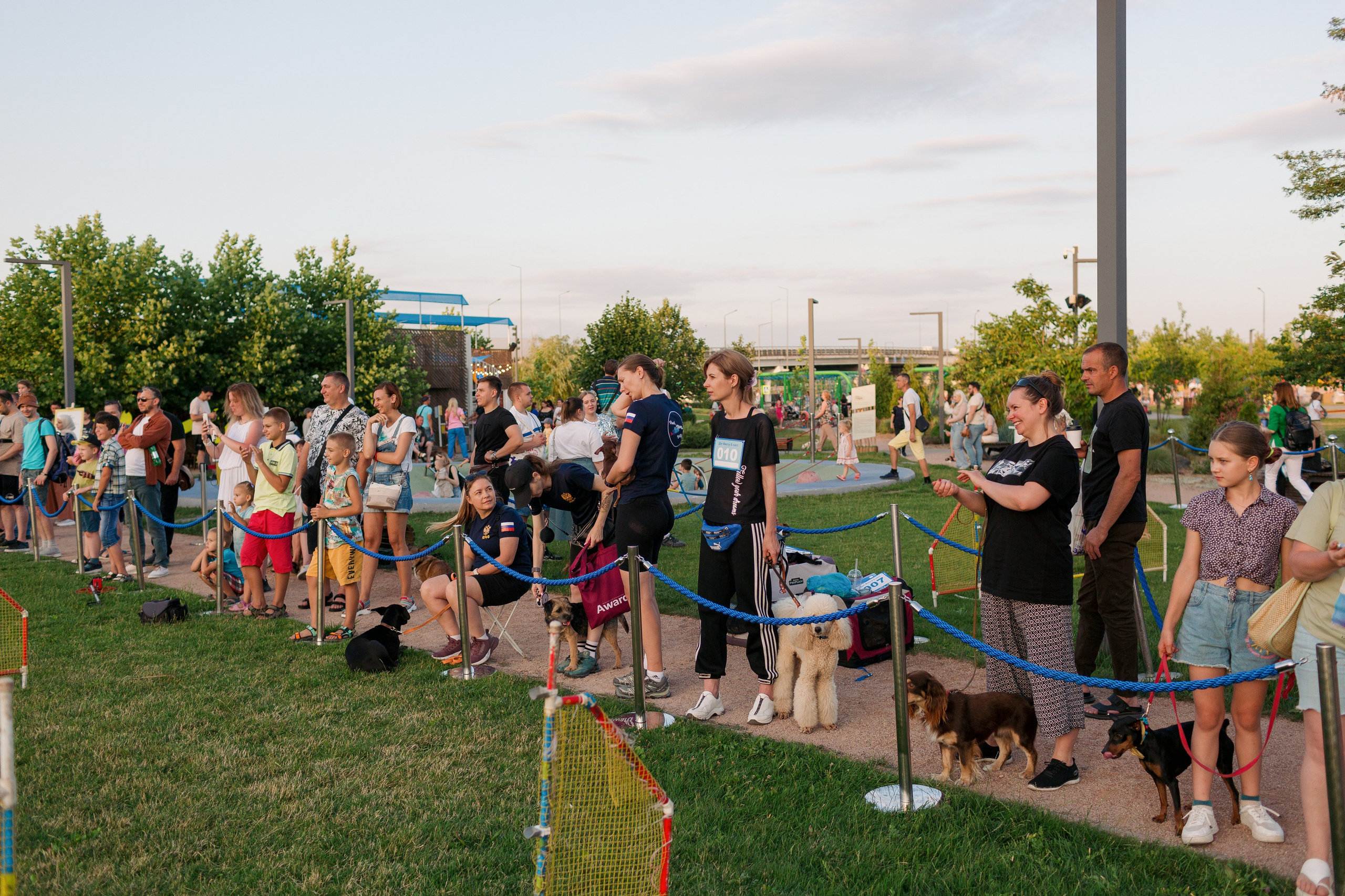 Dog Fest 2024. Главная