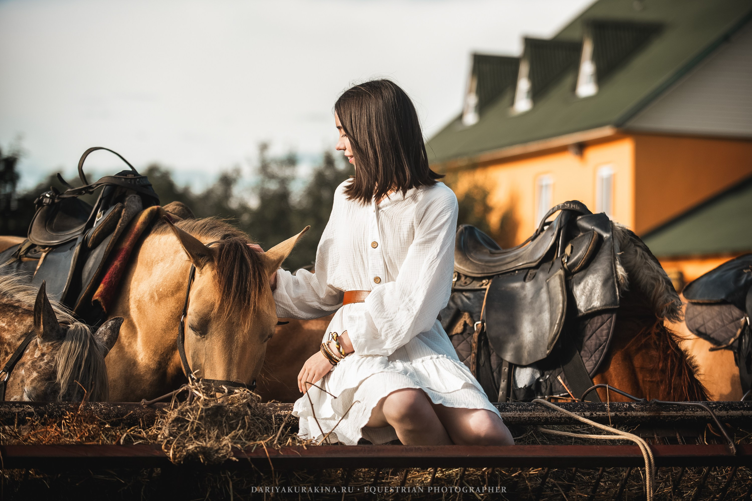 Алиса — Аванпост. Конный фотограф Куракина Дарья • Фотосессии с лошадьми