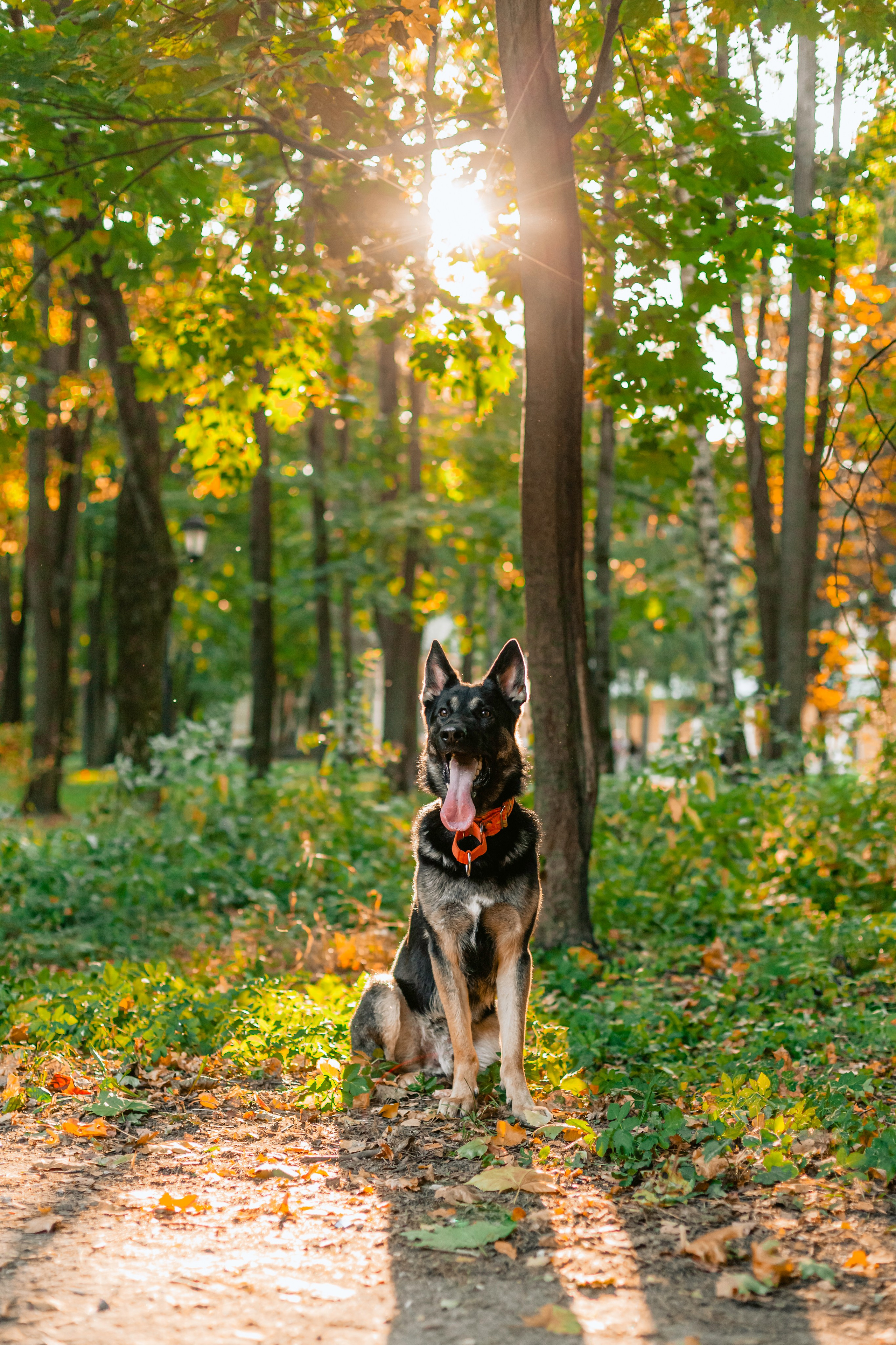 Илай. Фотограф-анималист Татьяна Степанова