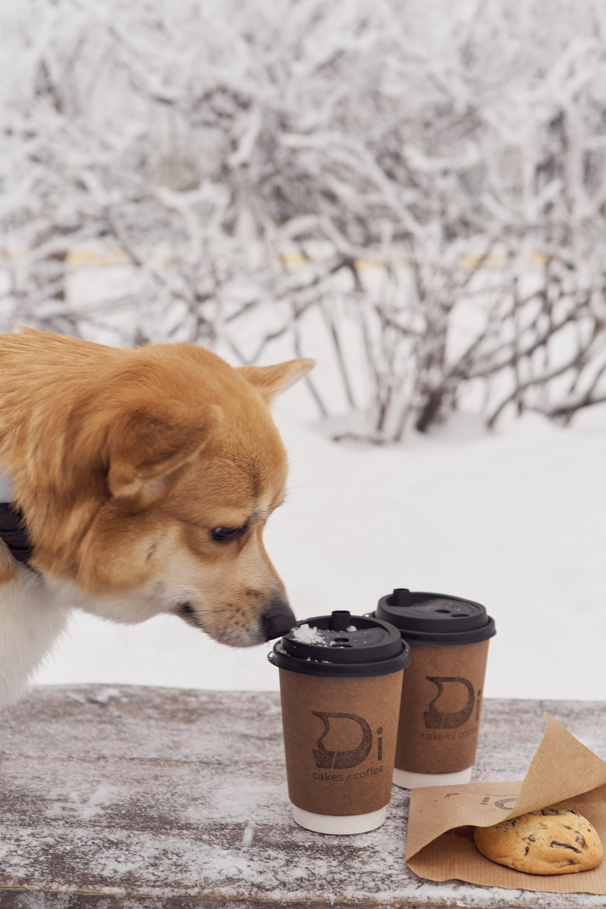 Кофейня «Cake by Di». Фотограф в Нижнем Новгороде Юлия Рачинская
