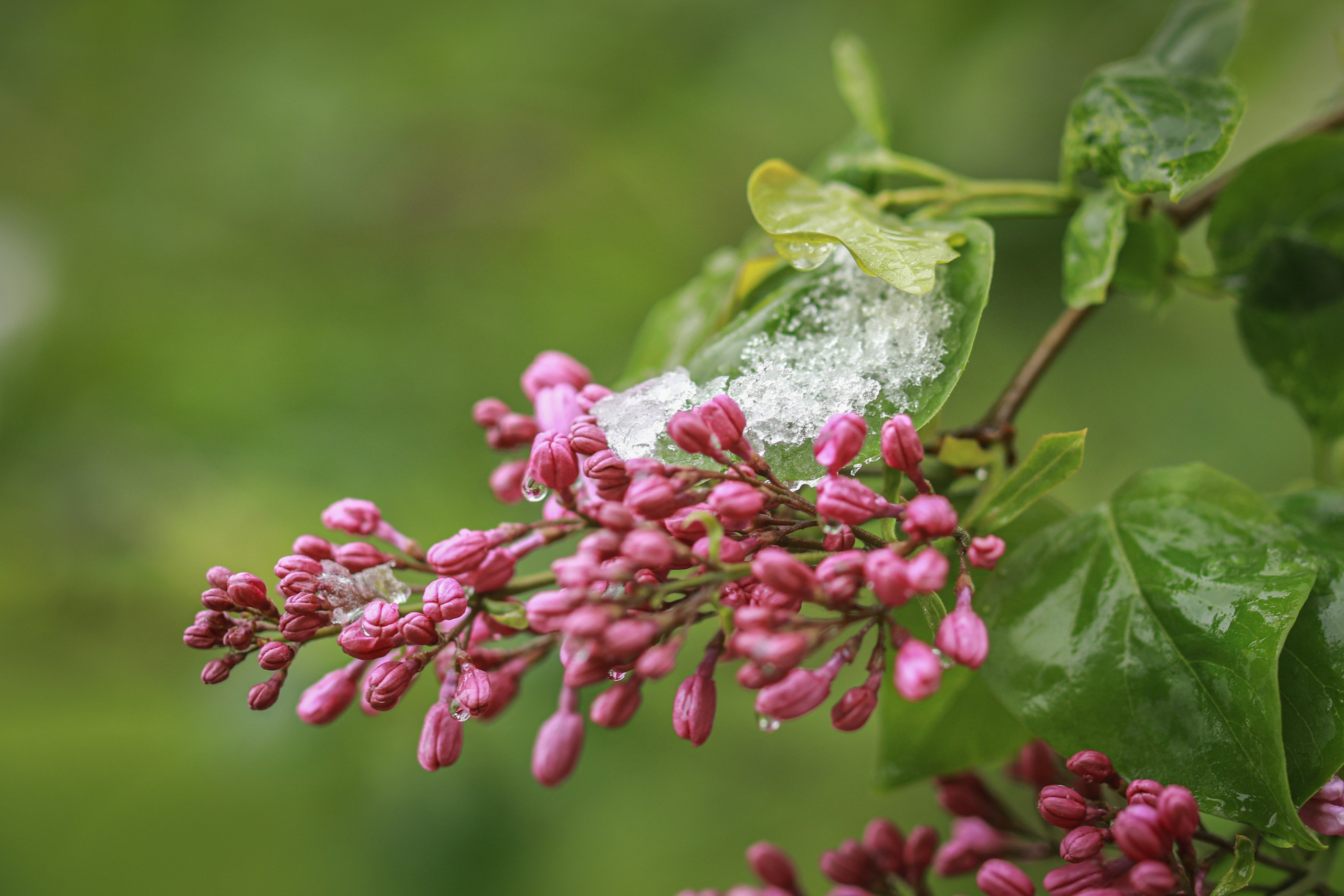 Про жизнь. Фотограф Сергей Ловкий