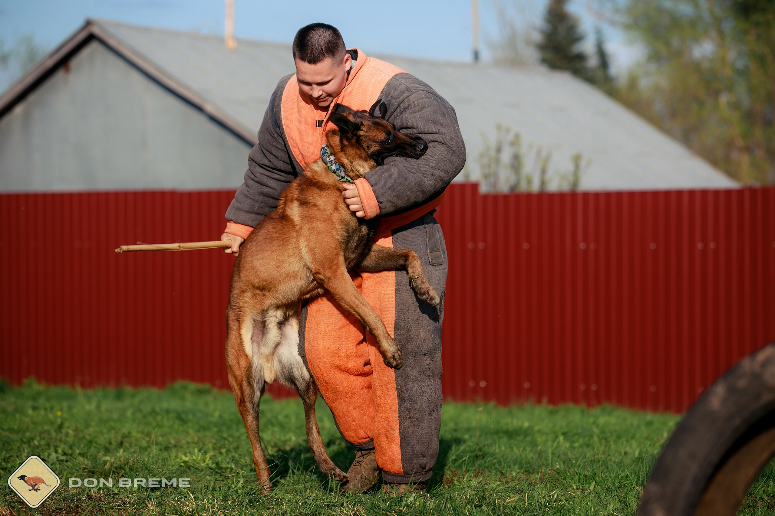 Семинар для фигурантов, день 2. Фотограф-анималист Mary Mart — Москва, Питер