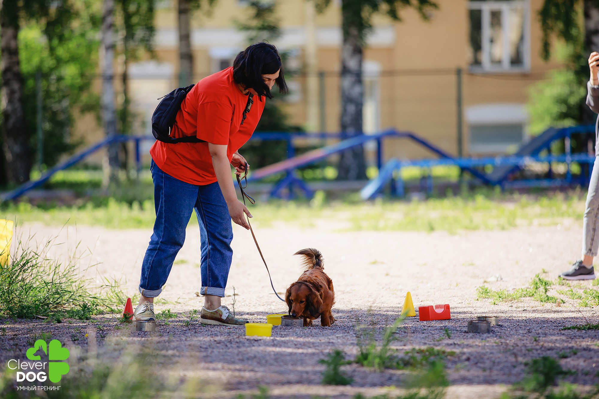 Семинар по поиску запаха с Иваном Ломовым, организатор CleverDog, СПб. Фотограф-анималист Mary Mart — Москва, Питер