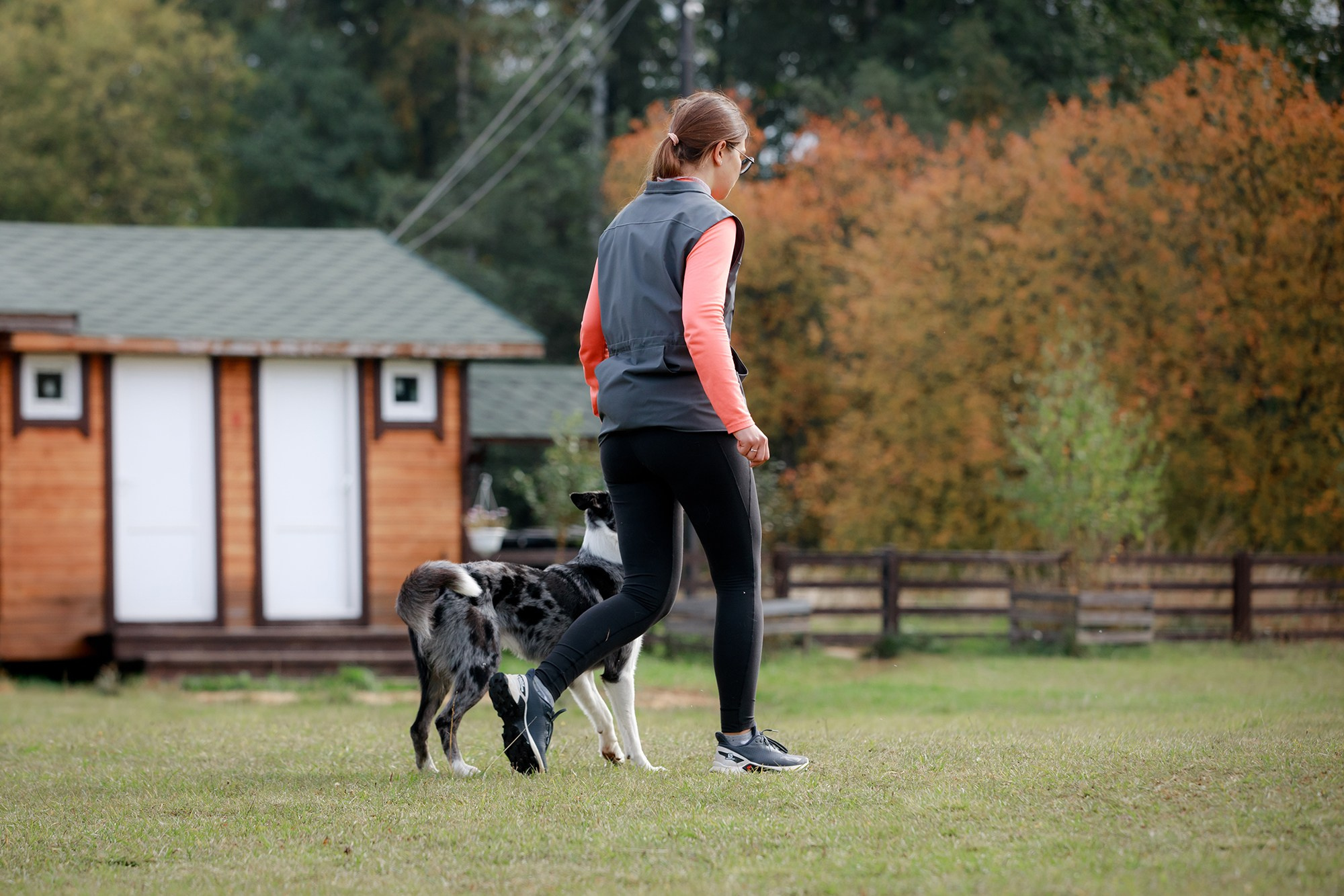 Лагерь по ОБД с Инной Баженовой. Фотограф-анималист Mary Mart — Москва, Питер