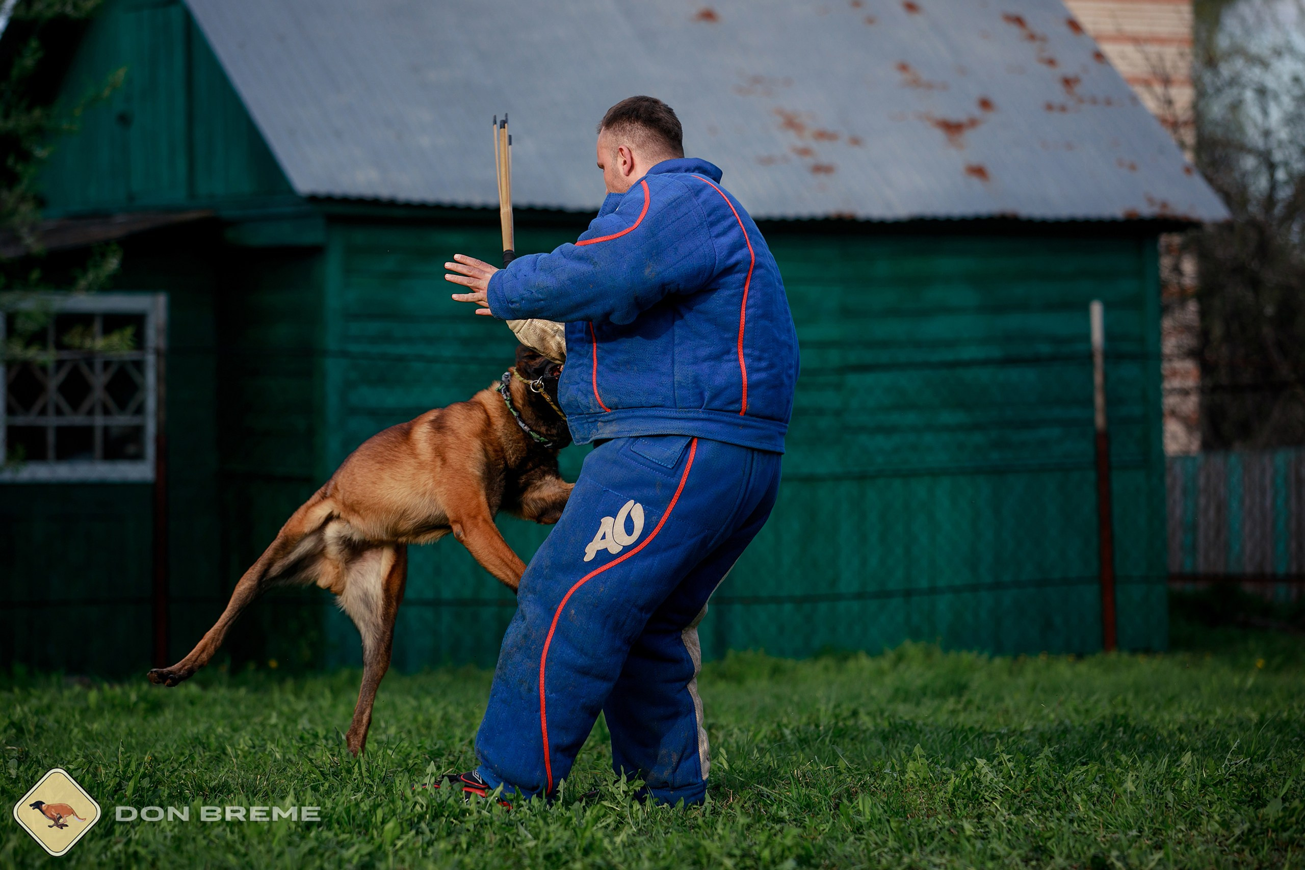 Семинар для фигурантов, день 2. Фотограф-анималист Mary Mart — Москва, Питер