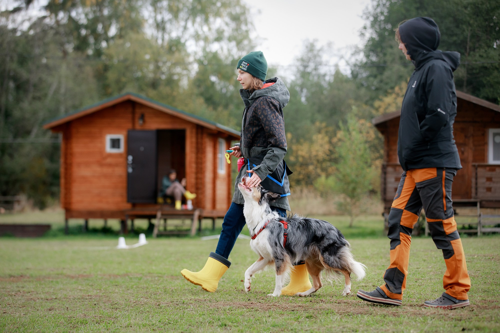 Лагерь по ОБД с Инной Баженовой. Фотограф-анималист Mary Mart — Москва, Питер