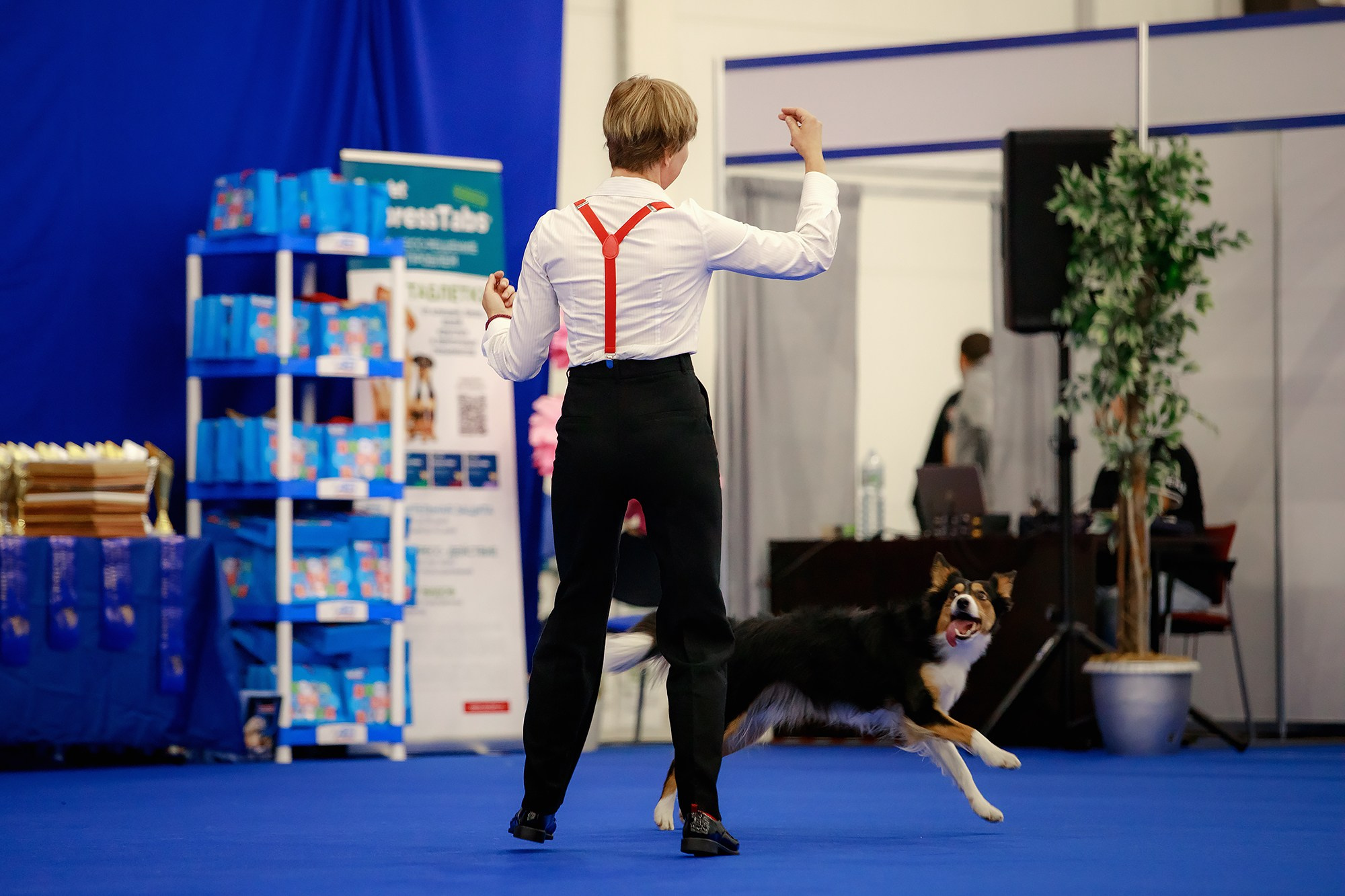 Танцы на выставке «Зоошоу», СПб. Фотограф-анималист Mary Mart — Москва, Питер