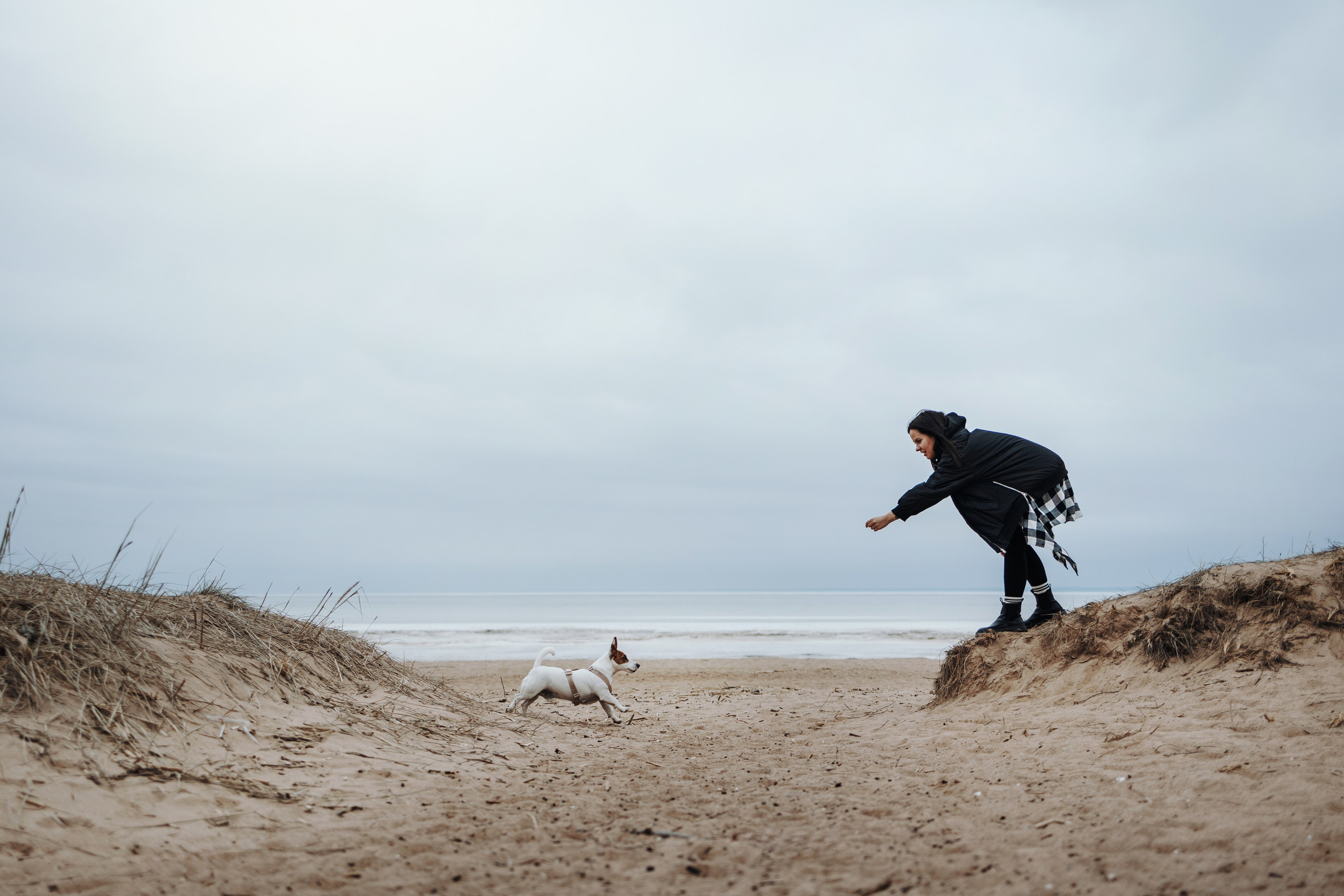 Саша и Джеки. Фотограф — Анималист | Санкт-Петербург
