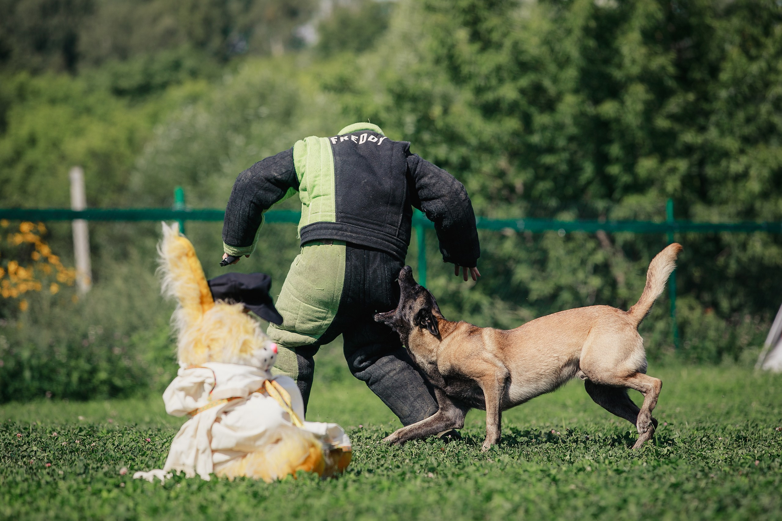 Мондьоринг М1, М2, М3, Вологда. Фотограф-анималист Mary Mart — Москва, Питер