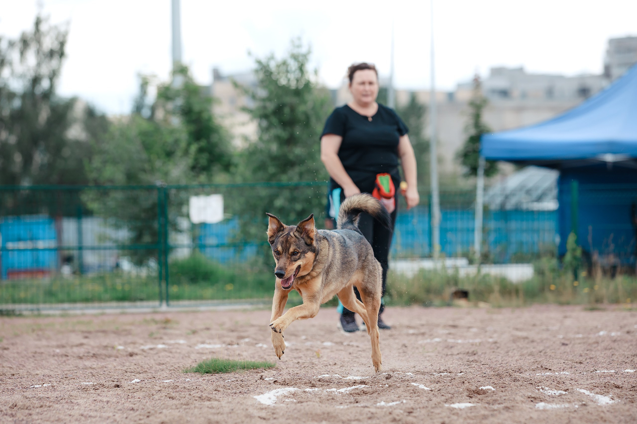 Питч&Гоу + веселые старты. Фотограф-анималист Mary Mart — Москва, Питер