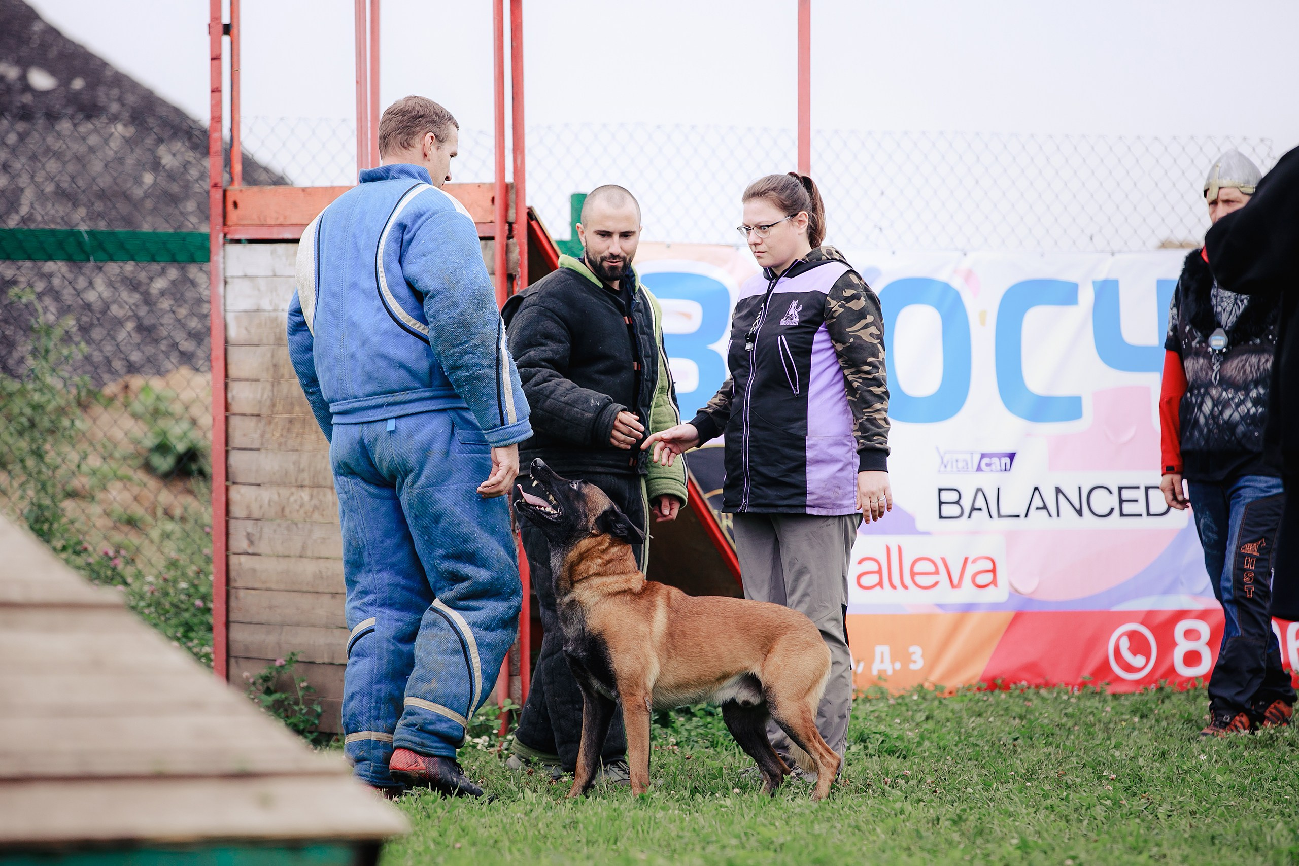 Мондьоринг М1, М2, М3, Вологда. Фотограф-анималист Mary Mart — Москва, Питер