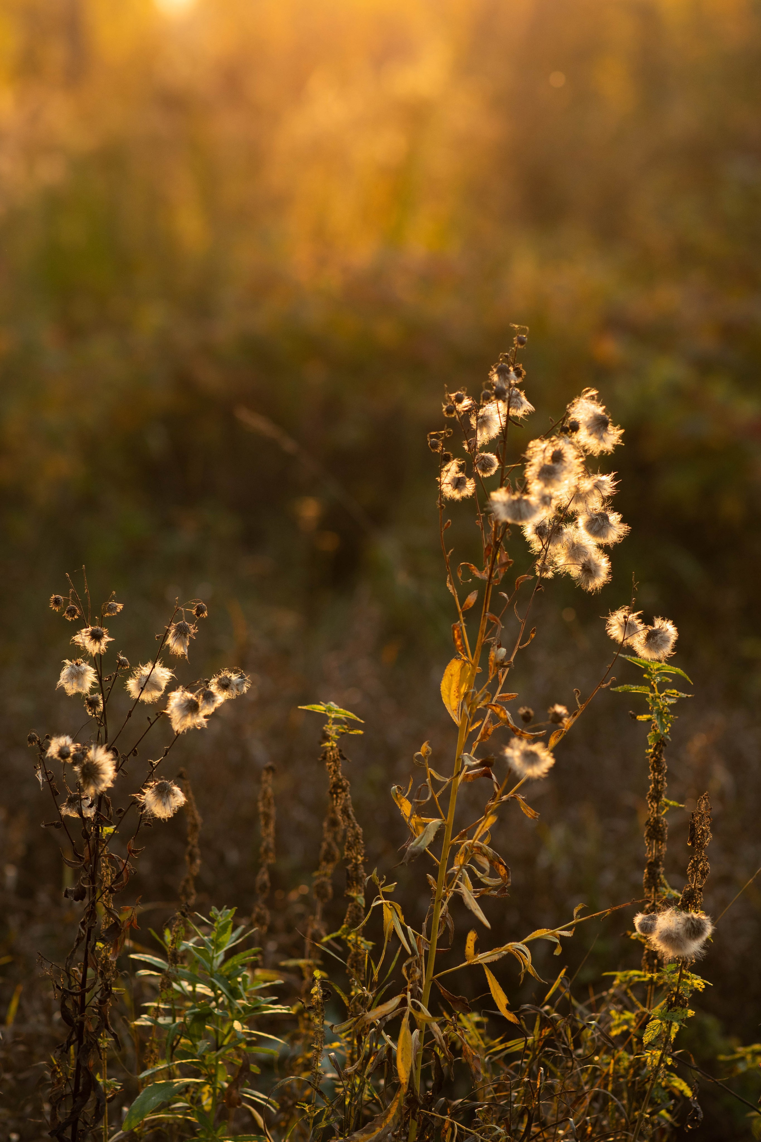 Семейная фотосессия