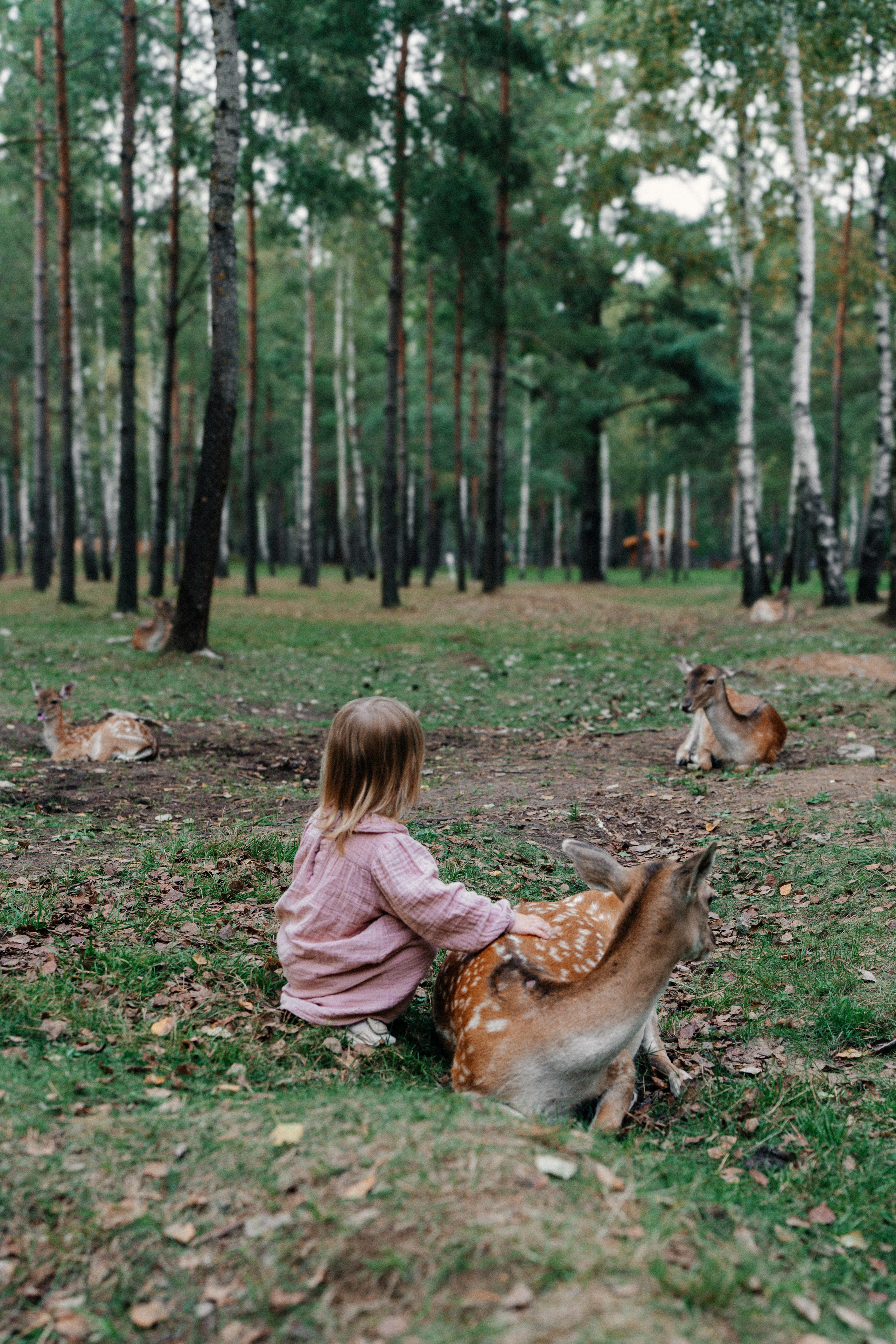 Диприз — в мире диких животных. Ваш семейный фотограф в Минске — Вика Трегубова