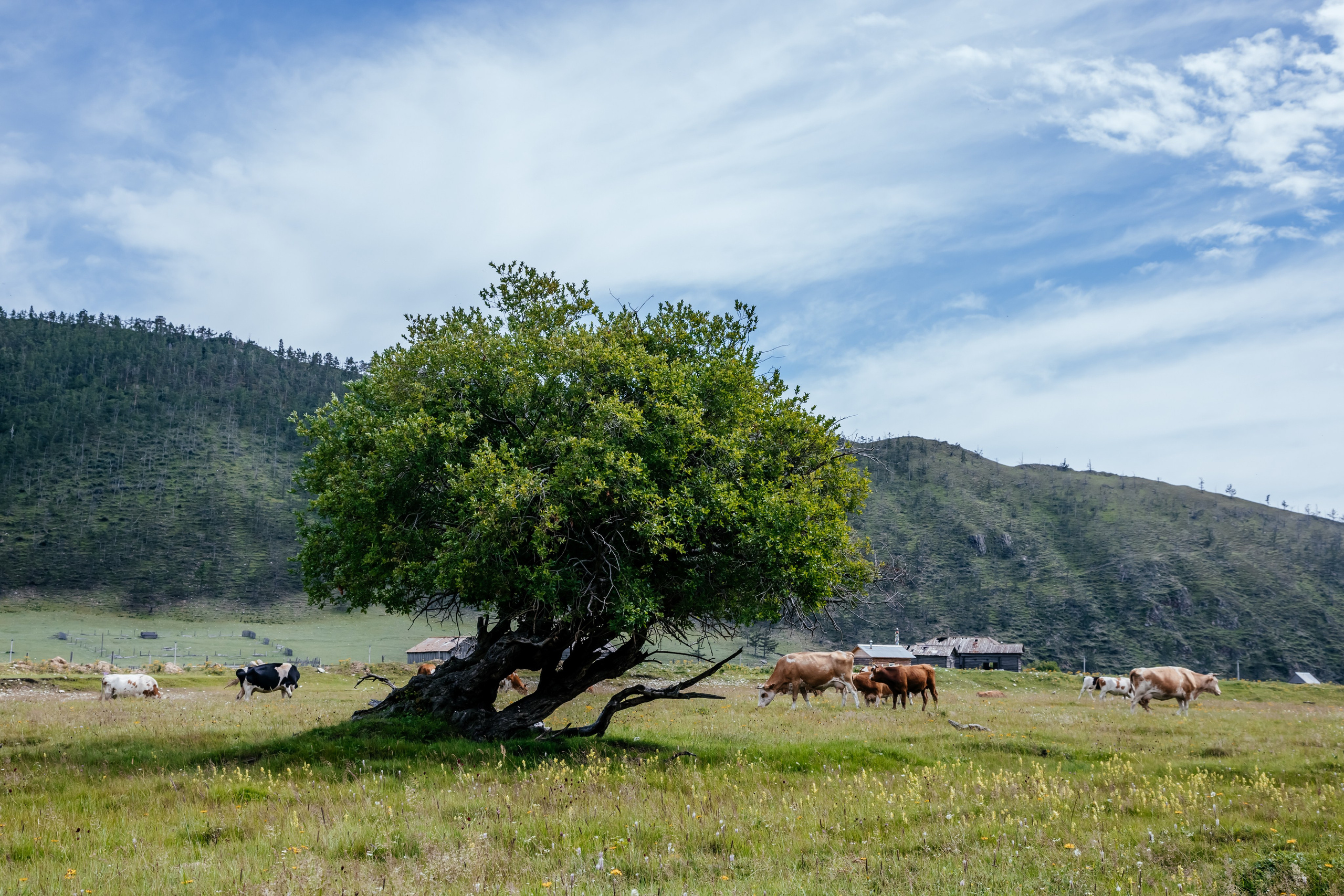 Байкал. Фотограф в Красноярске Оксана Корчагина