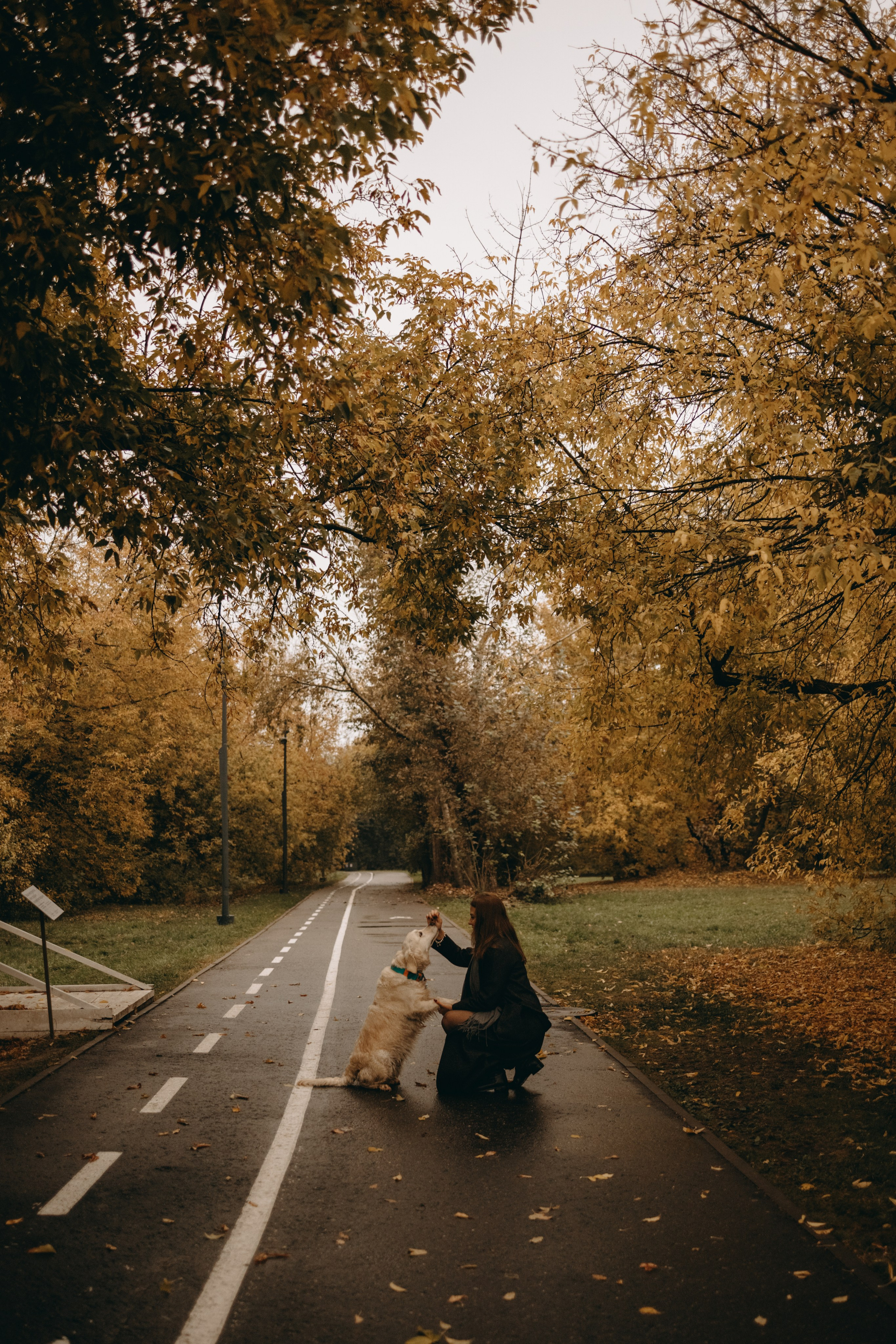 Женя и ее девочки. Фотограф — Анималист | Санкт-Петербург