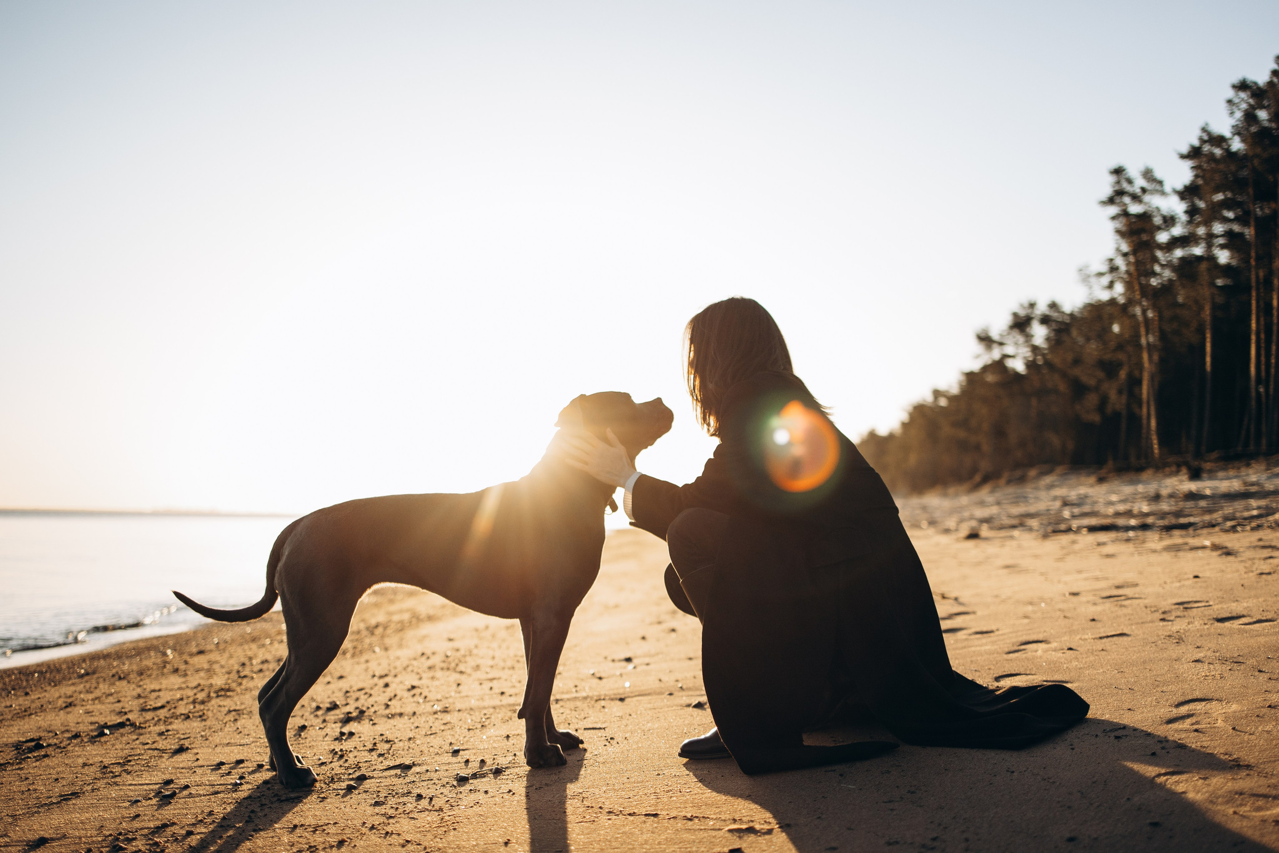 Анна и Лана. Фотограф — Анималист | Санкт-Петербург