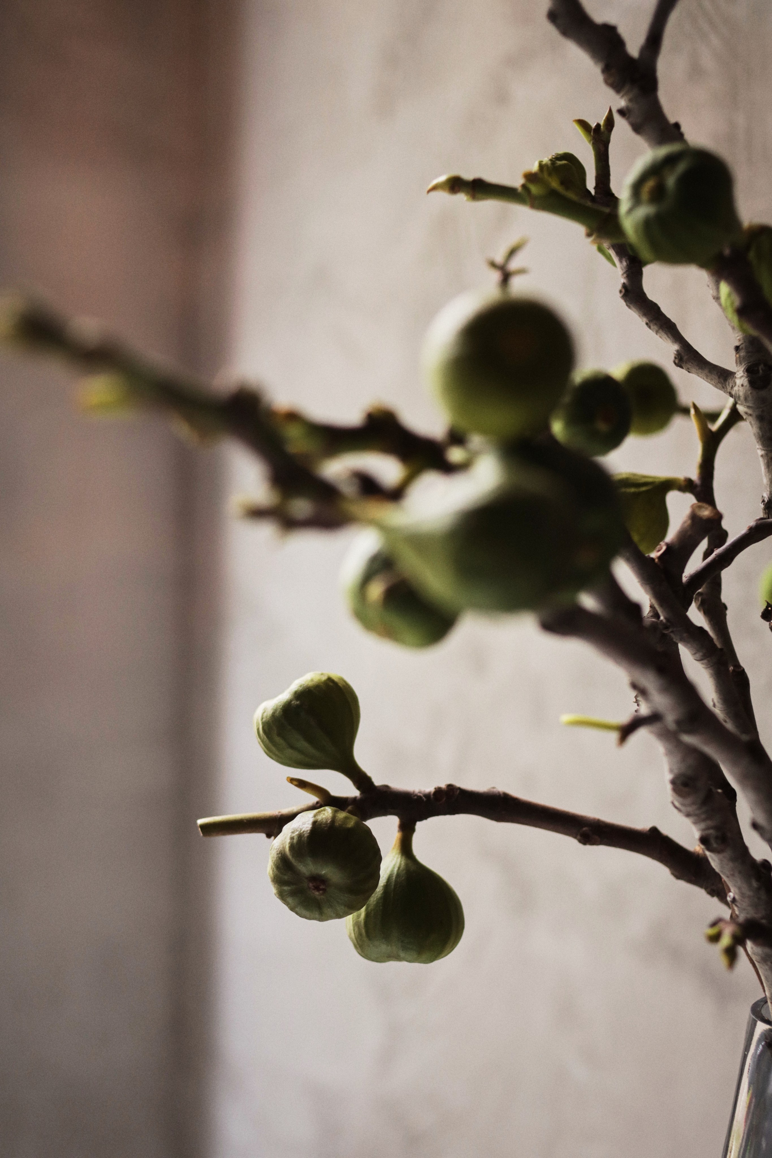 Flowers. Виктория Калугина — фотограф и видеомейкер в Москве