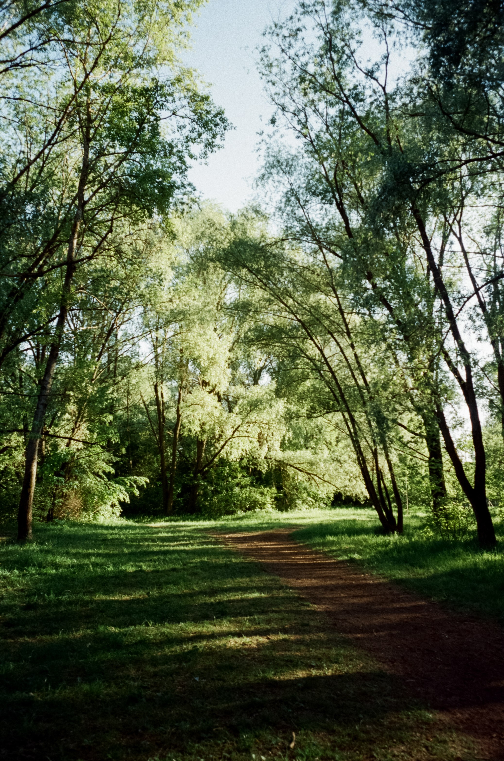 Ricoh GR10 / SFL 250D / Тестовая пленка у речки в Строгино