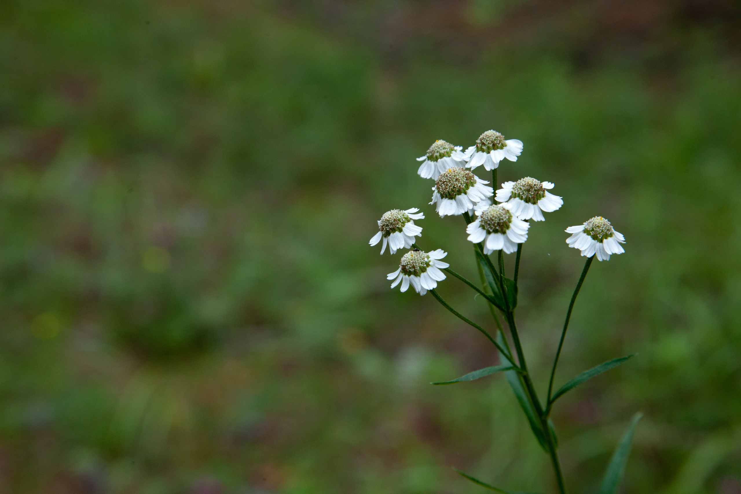 Фото Природы Забайкалья. Студия Максима Белослюдцева
